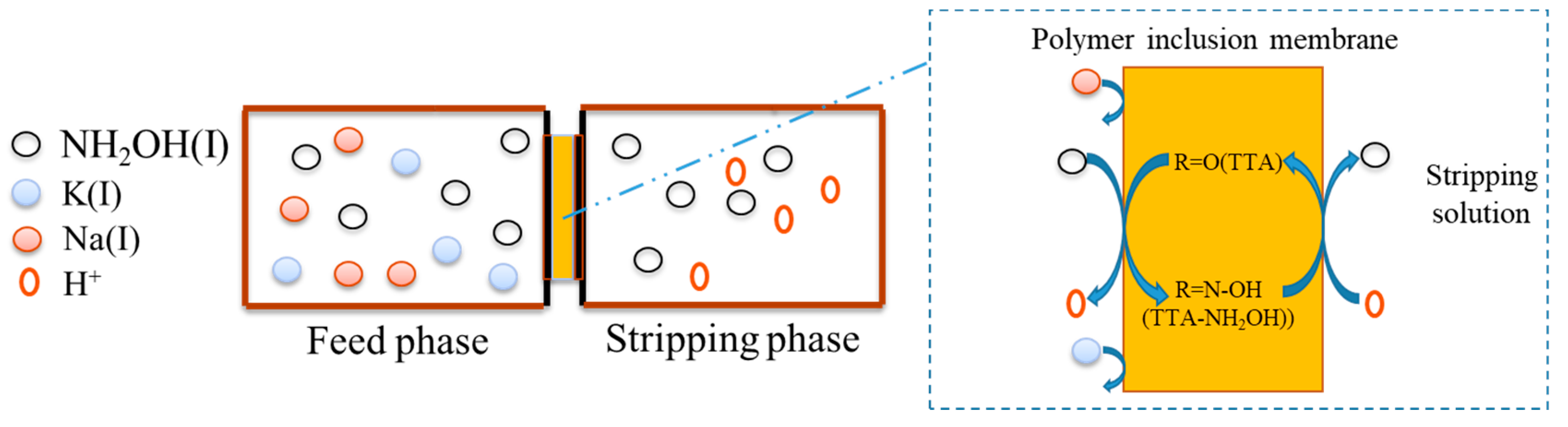 Separations 12 00024 g006