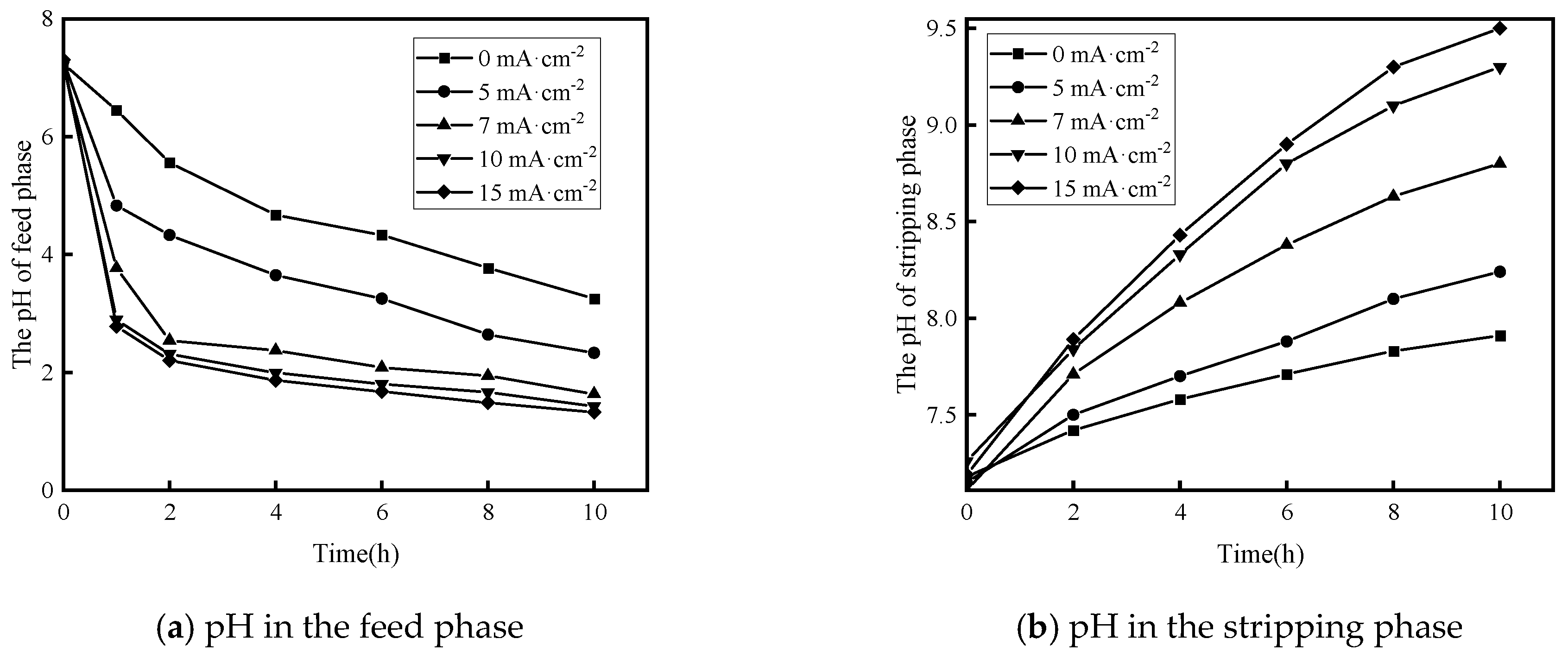 Separations 12 00024 g011