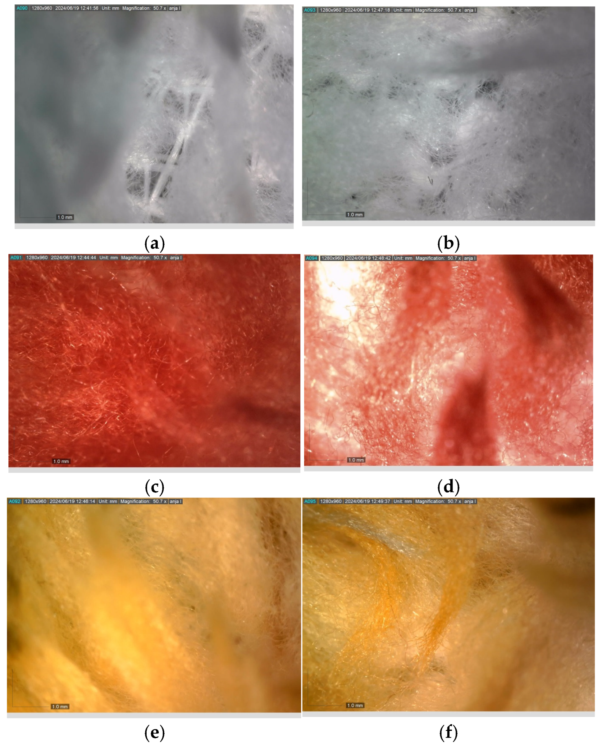 Separations 12 00028 g002