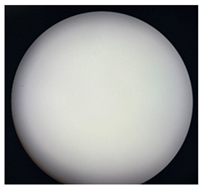 Separations 12 00028 i001