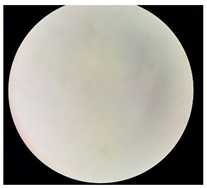 Separations 12 00028 i004