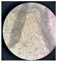 Separations 12 00028 i011