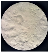 Separations 12 00028 i015