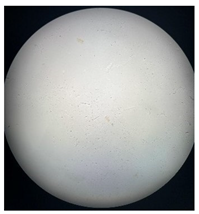 Separations 12 00028 i017