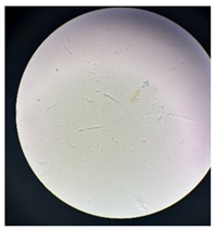 Separations 12 00028 i018