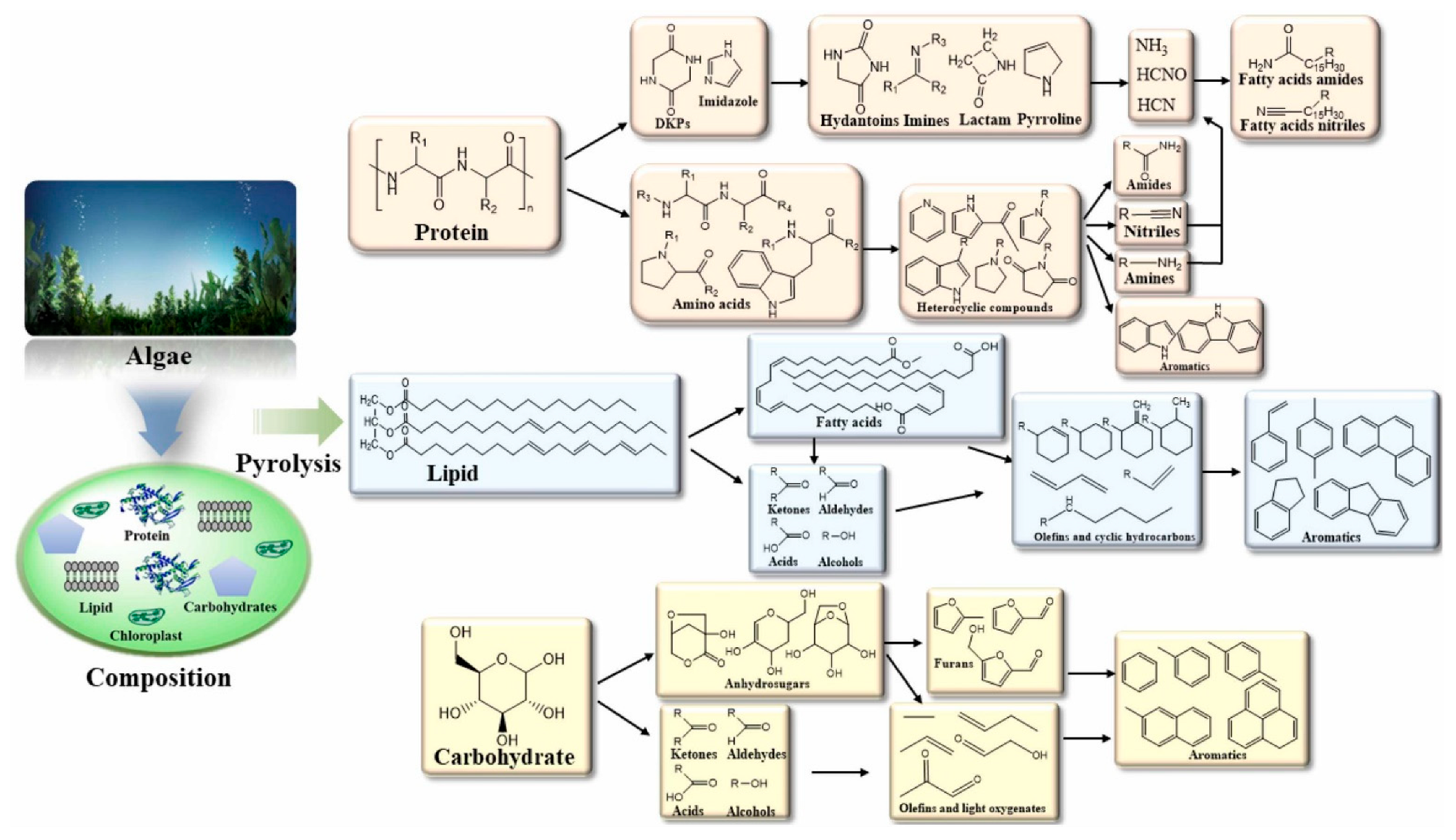 Separations 12 00032 g003