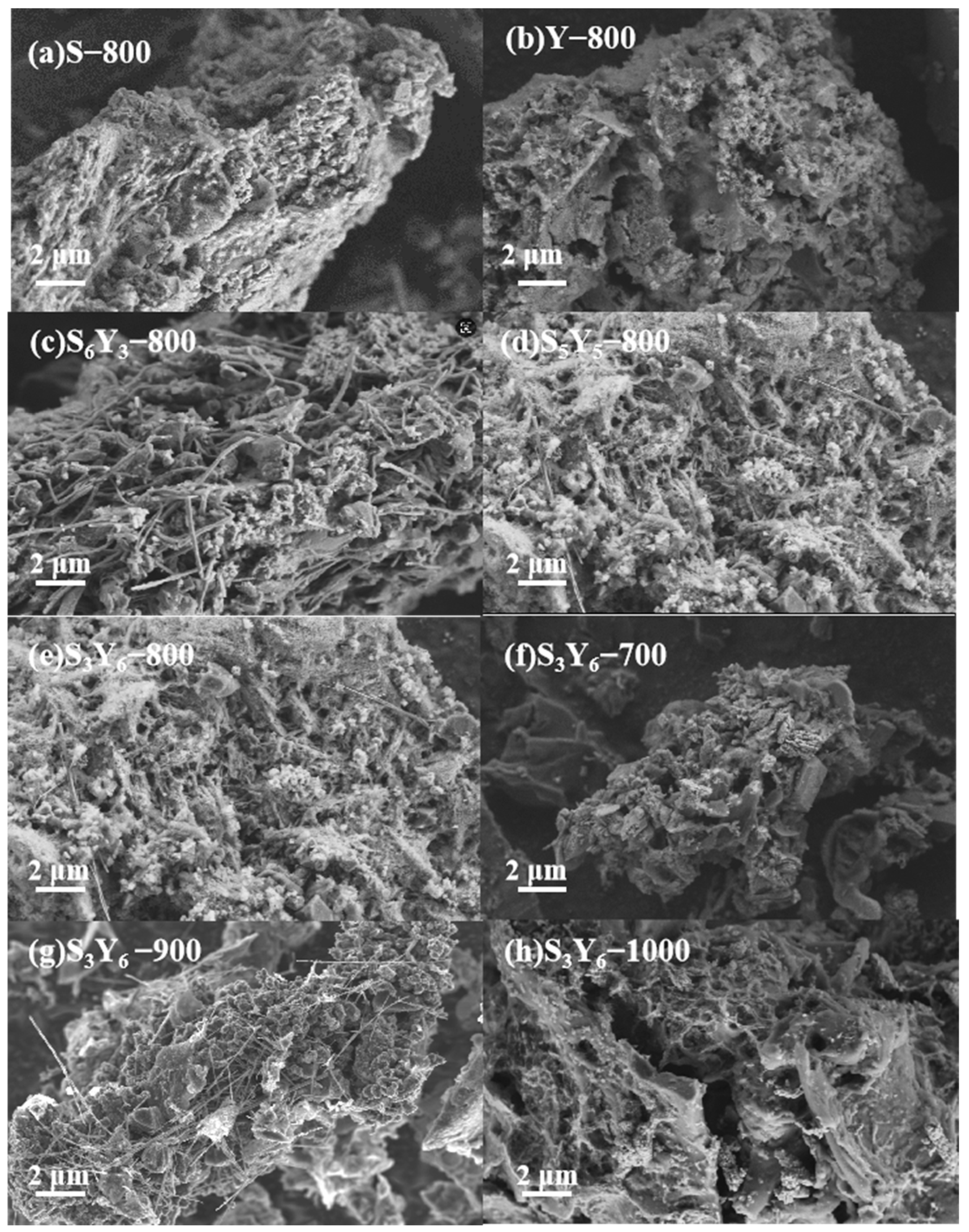 Separations 12 00042 g002