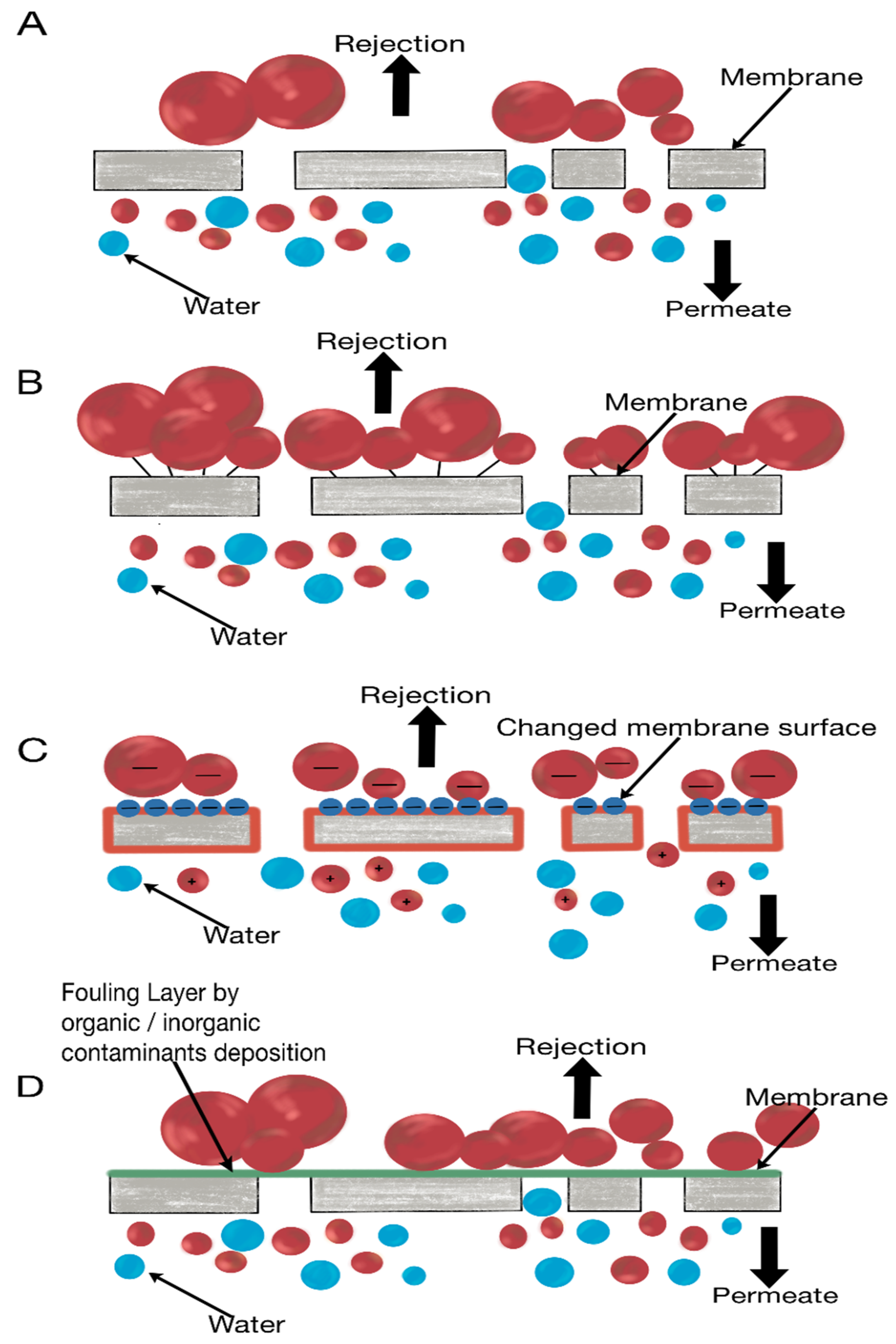 Separations 12 00051 g002