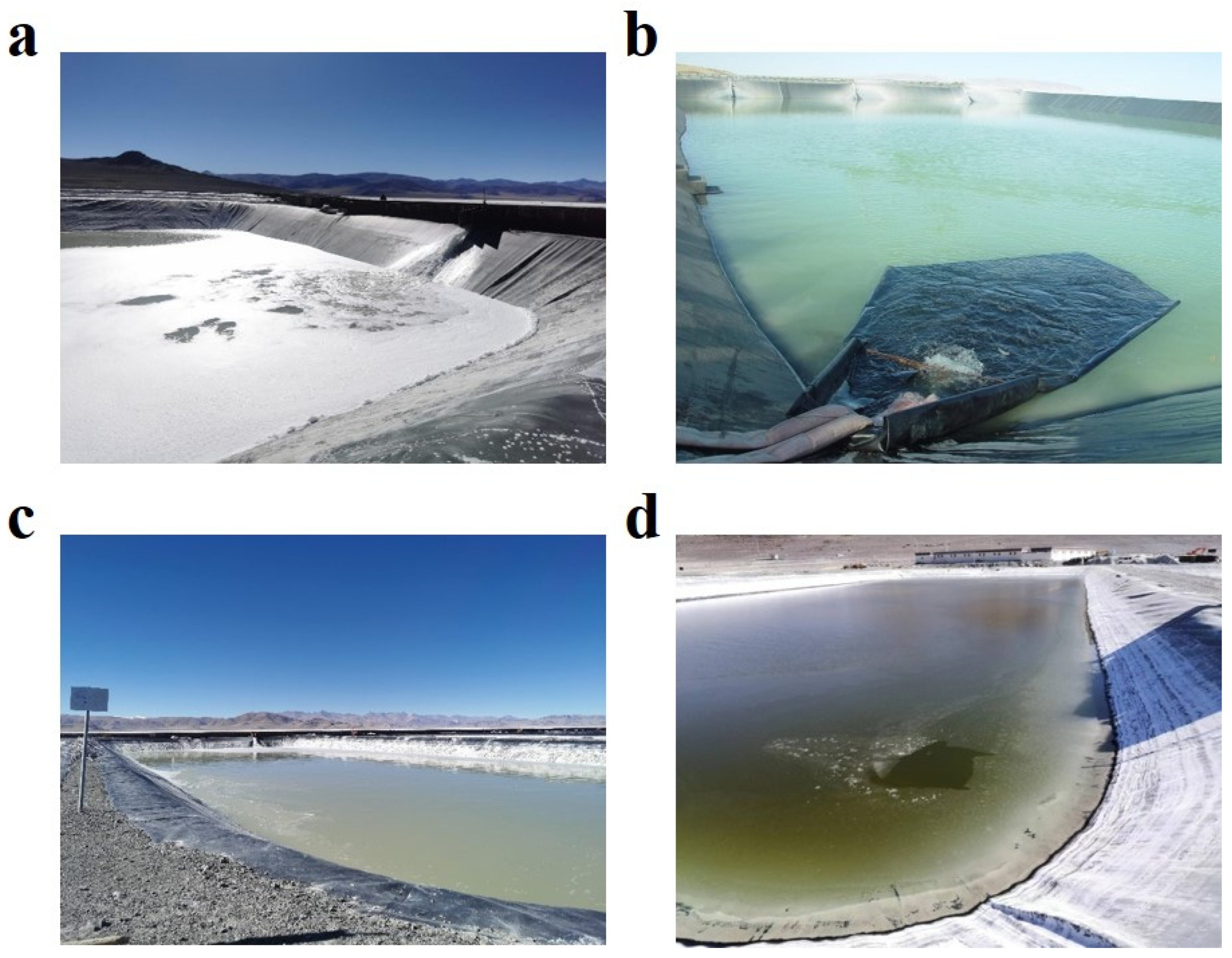 Separations 12 00054 g003