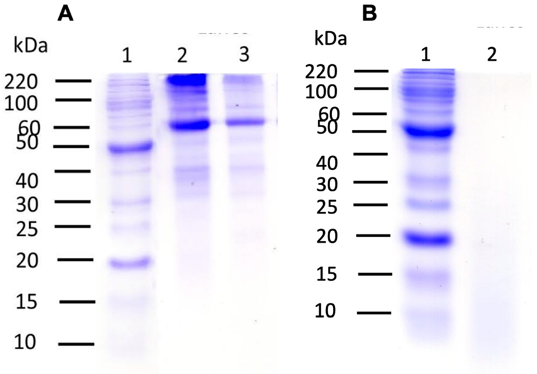 Separations 12 00055 g001