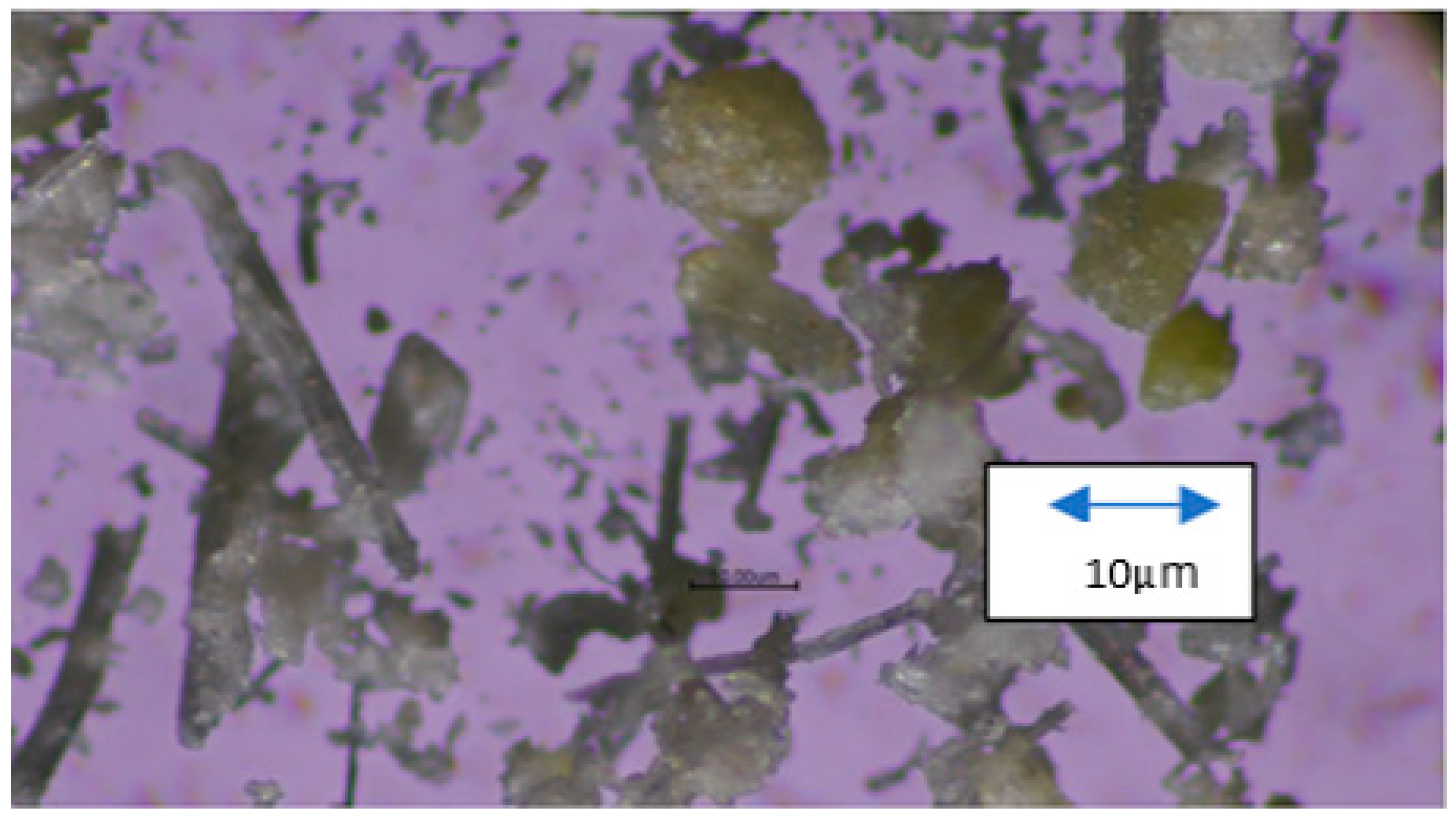 Separations 12 00076 g001