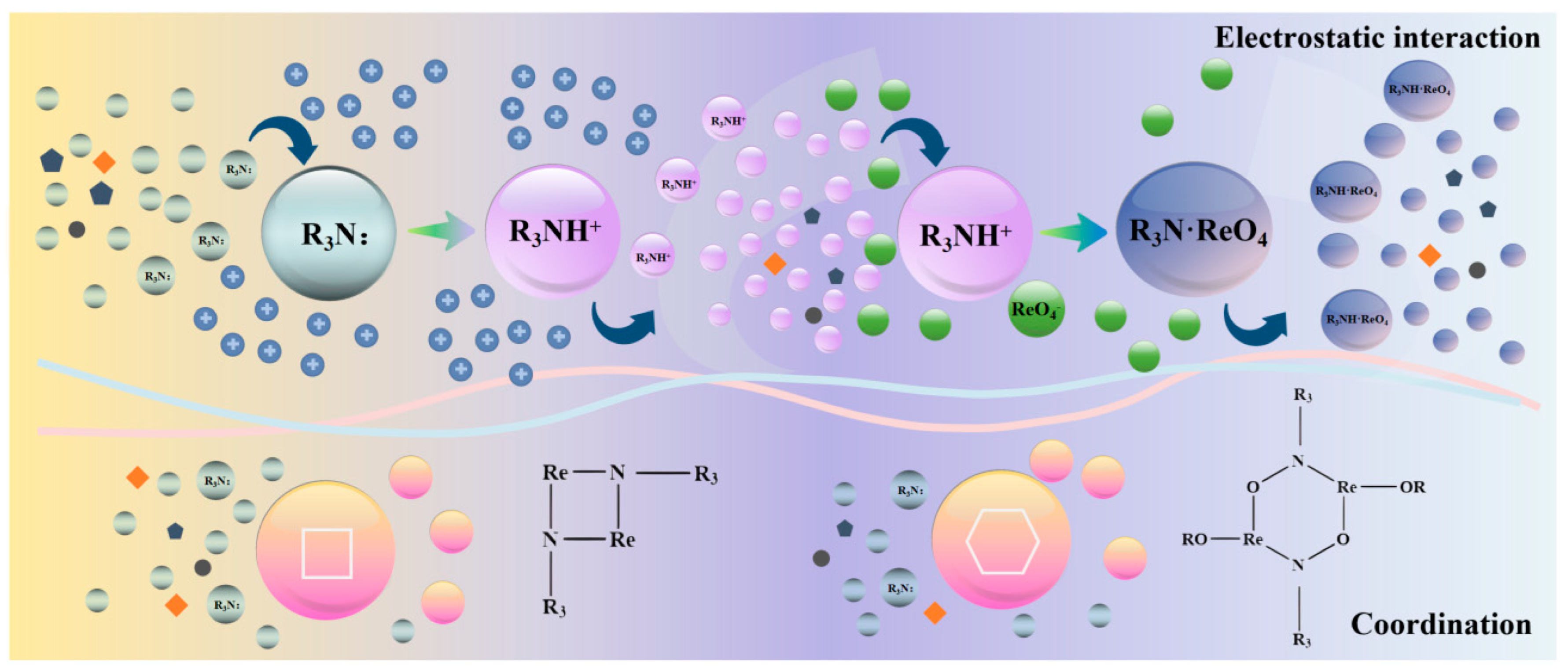 Separations 12 00089 g003