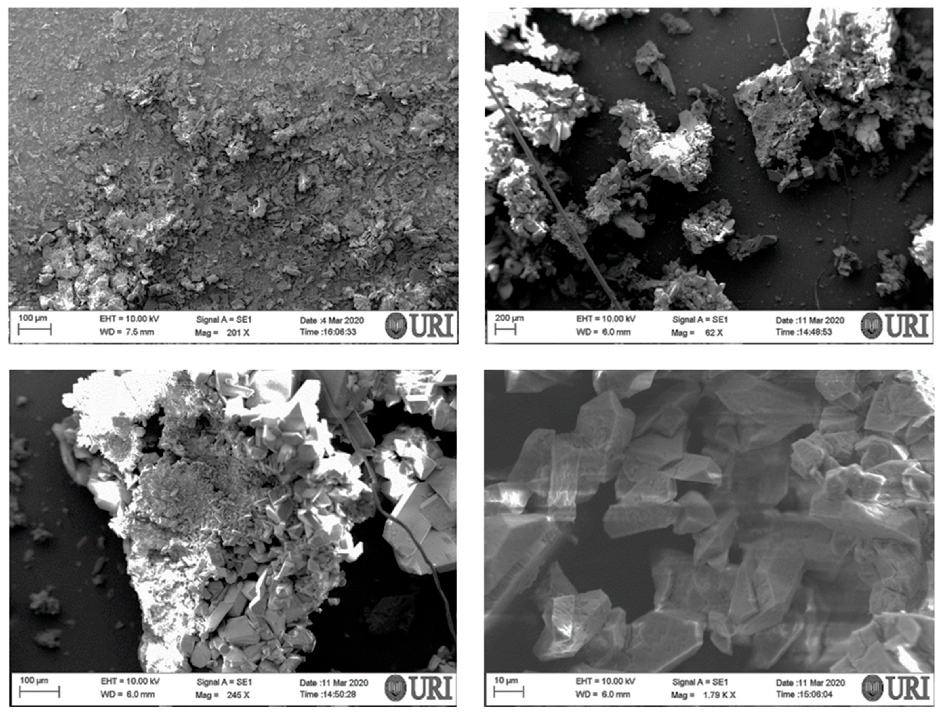 Separations 12 00108 g001