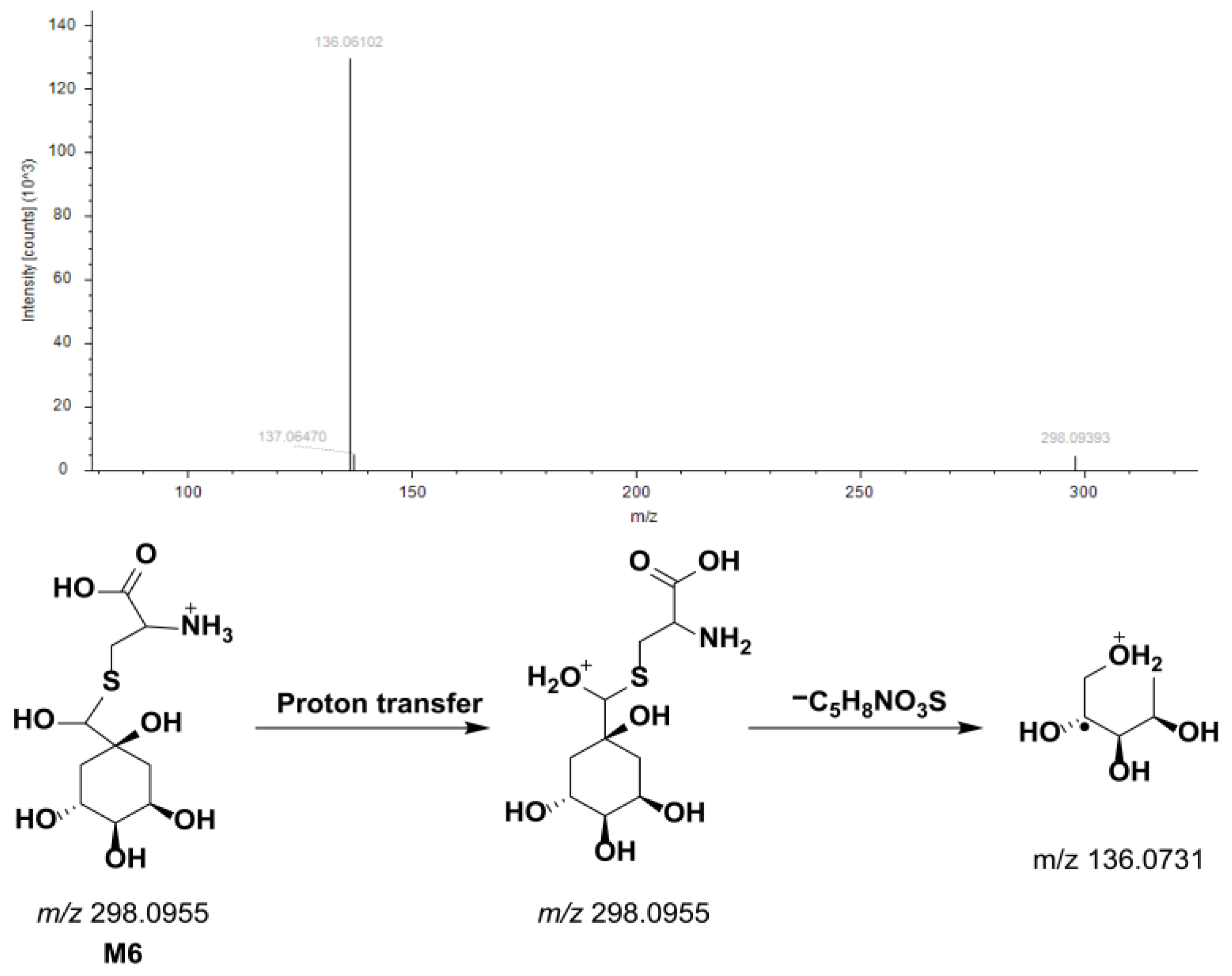 Separations 12 00113 g004