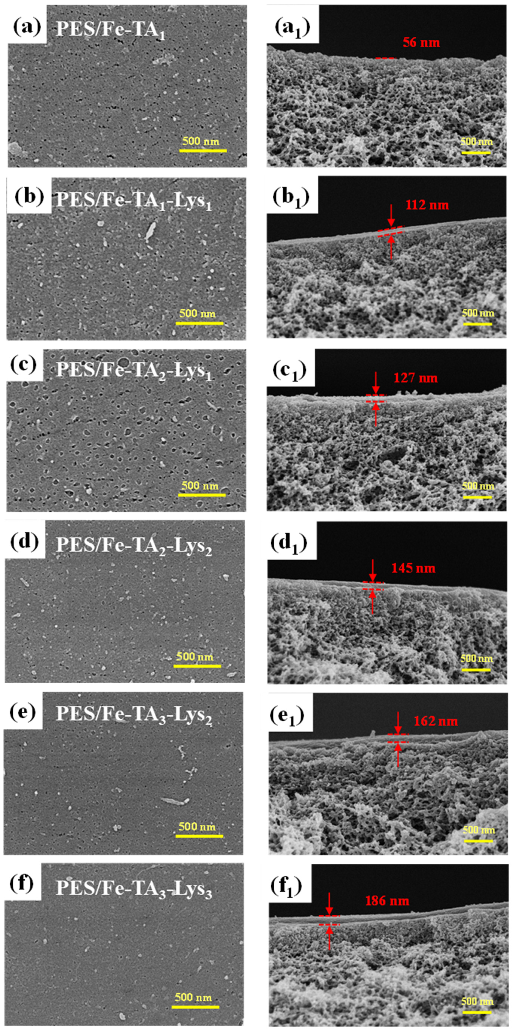 Separations 12 00129 g006