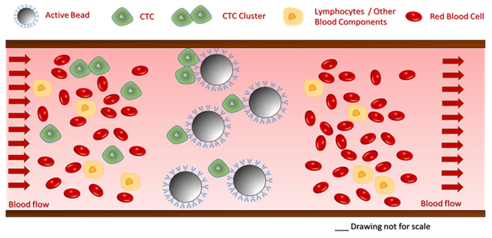 Separations 12 00134 g002