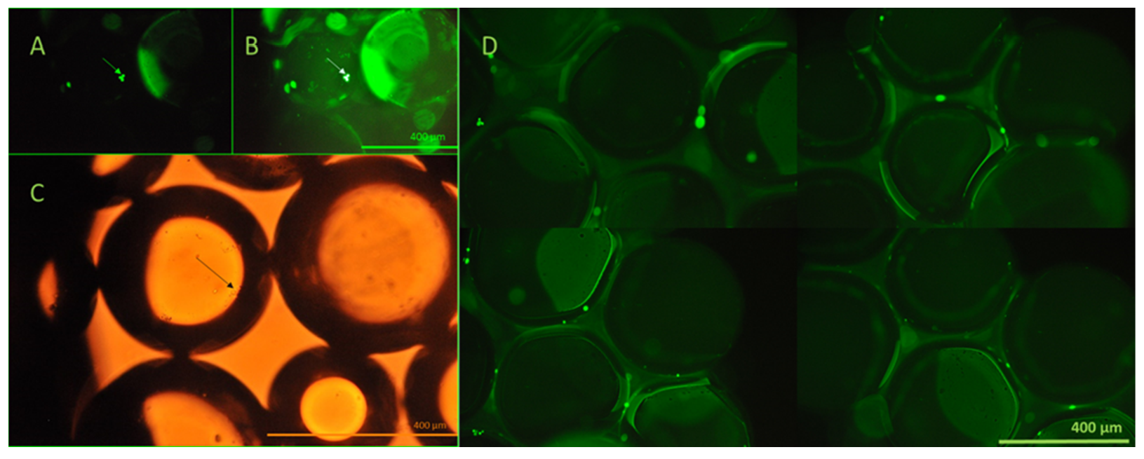 Separations 12 00134 g010