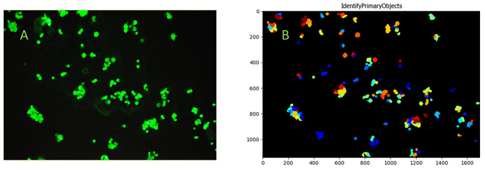 Separations 12 00134 g011