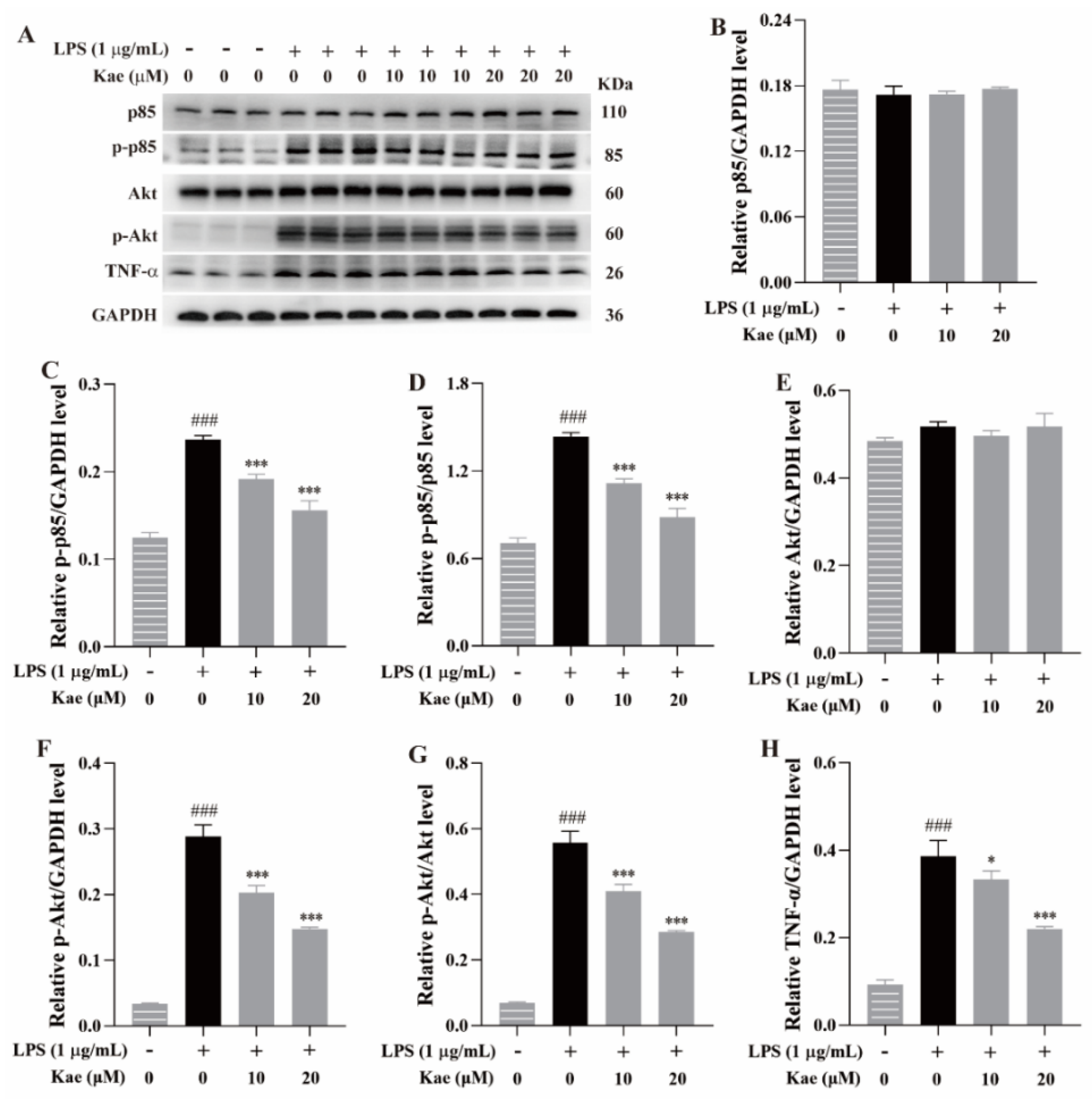 Separations 12 00138 g009