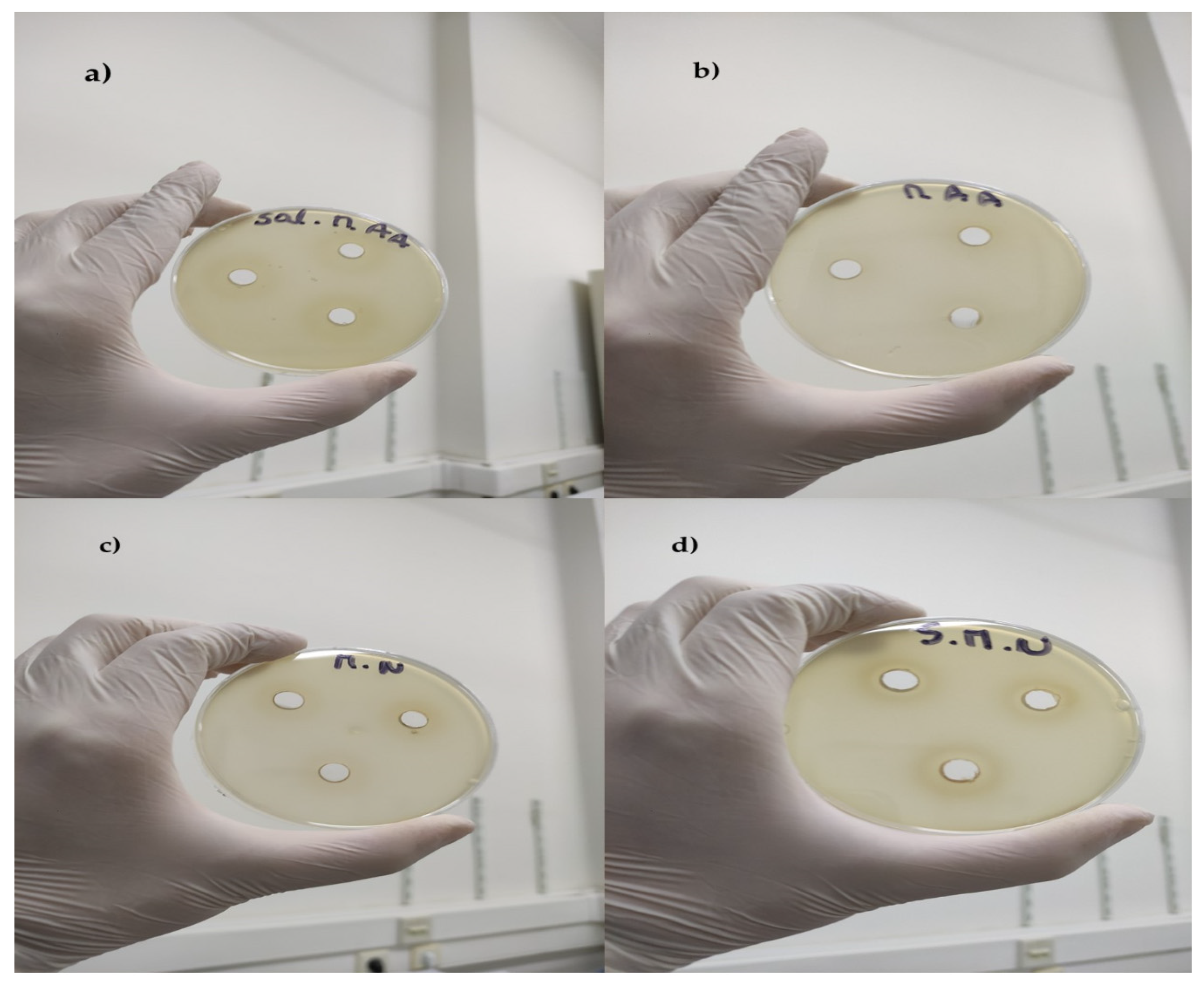 Separations 12 00151 g001