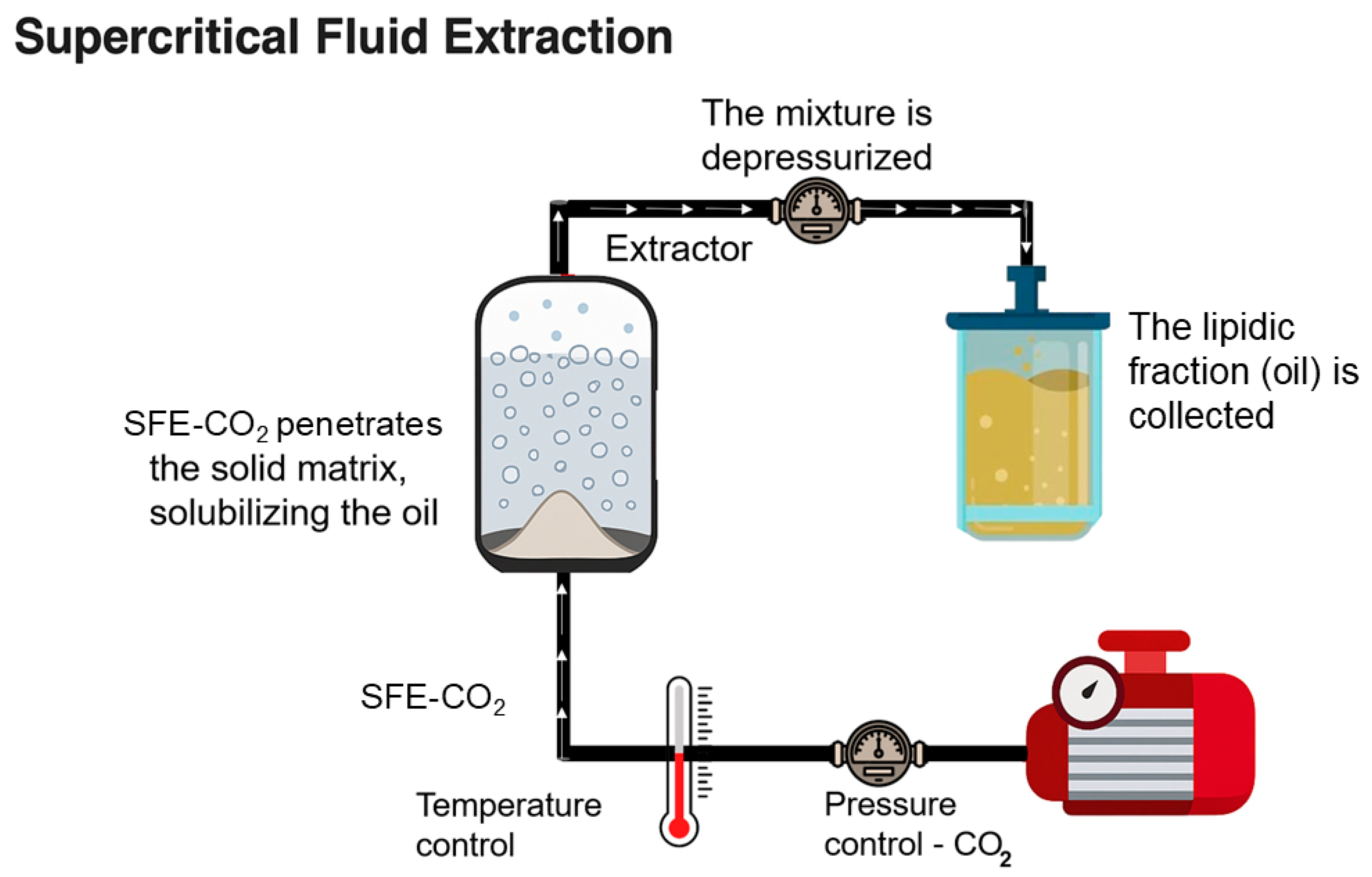 Separations 12 00160 g003