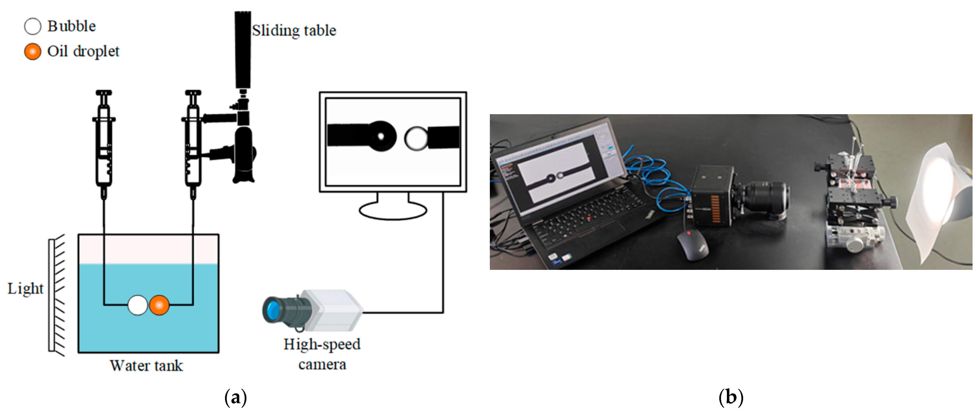 Separations 12 00174 g001