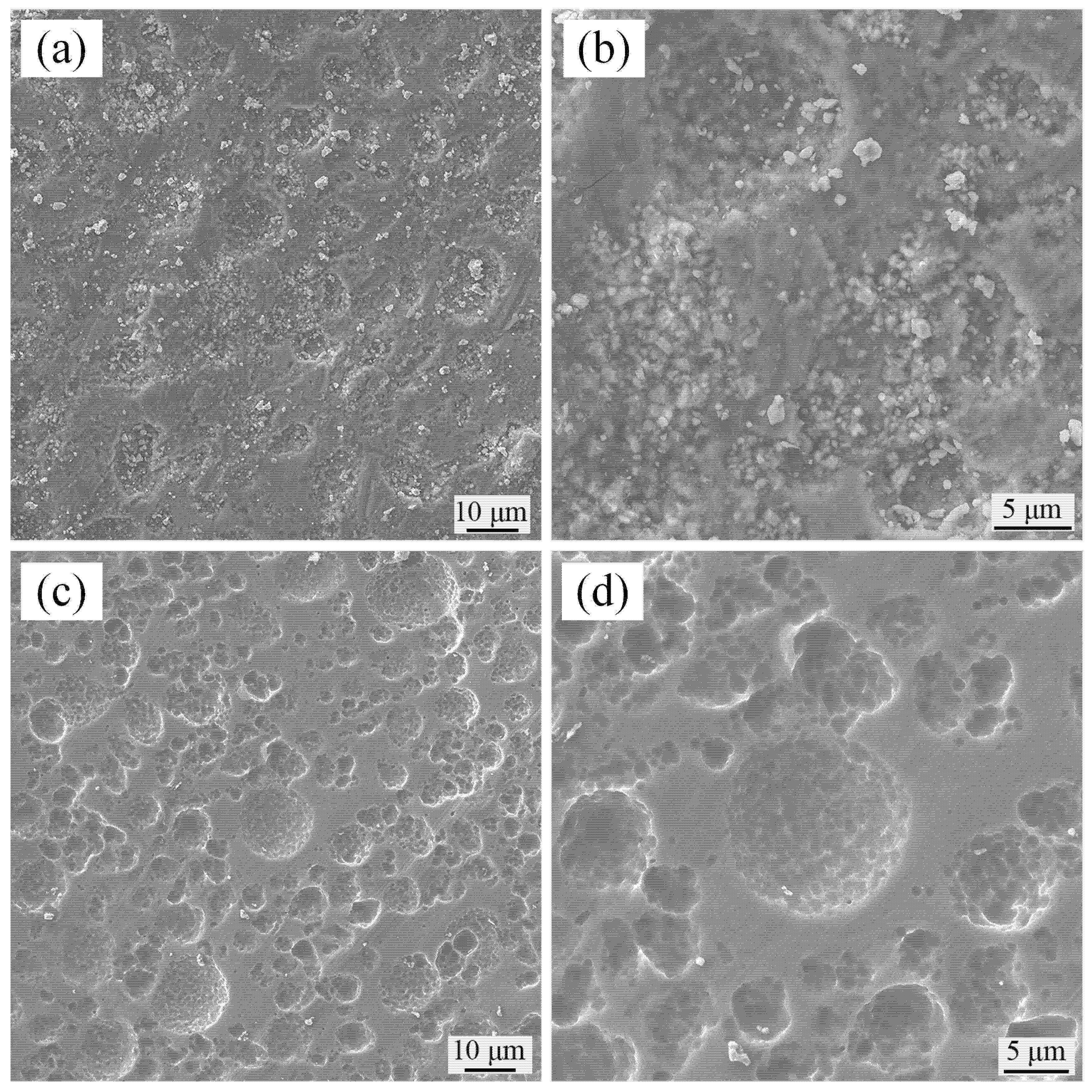 Separations 12 00178 g007