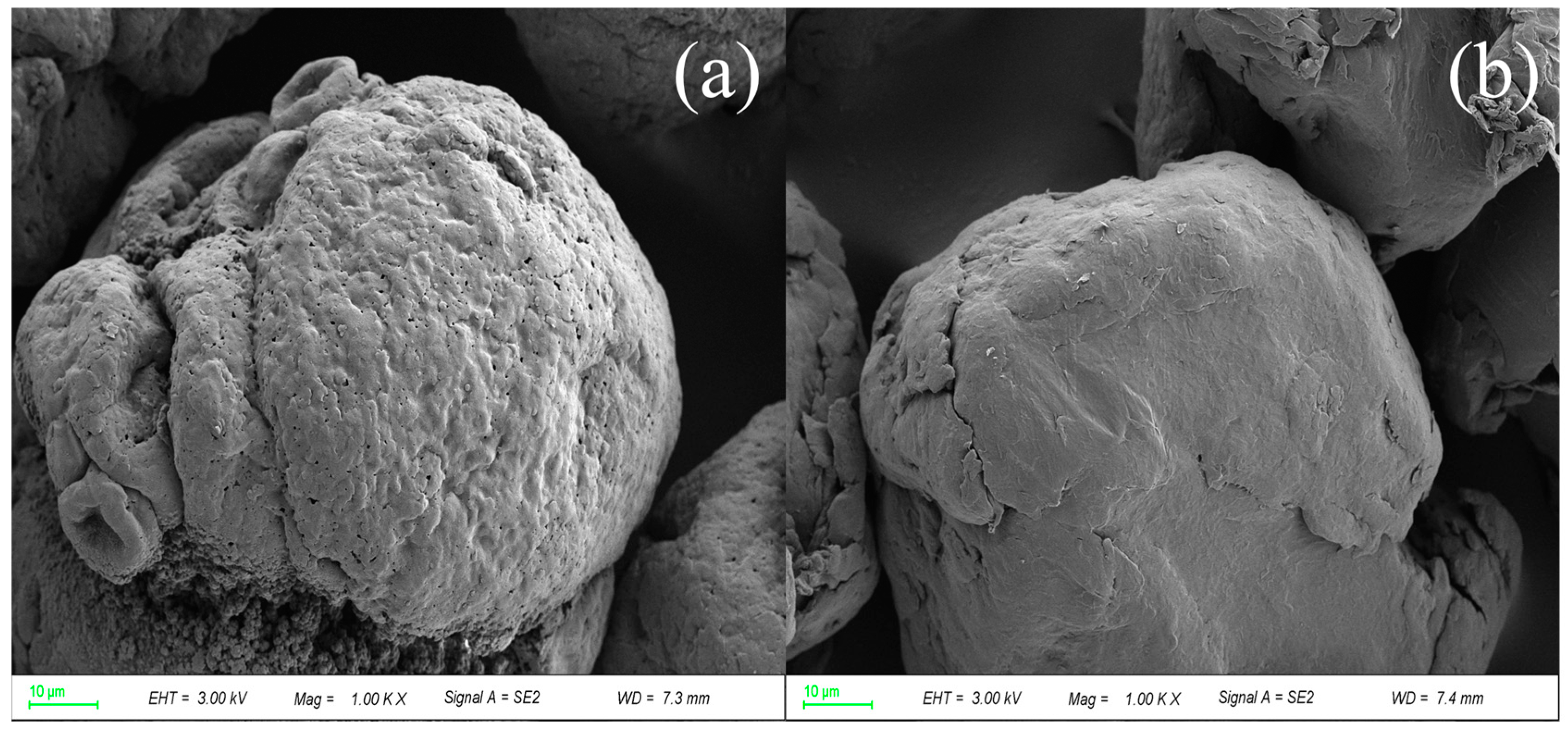 Separations 12 00179 g010