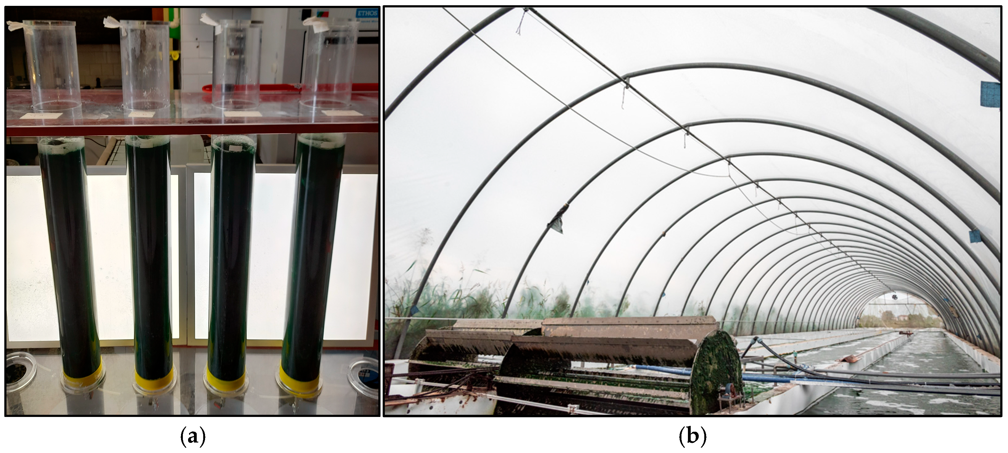 Separations 12 00194 g002