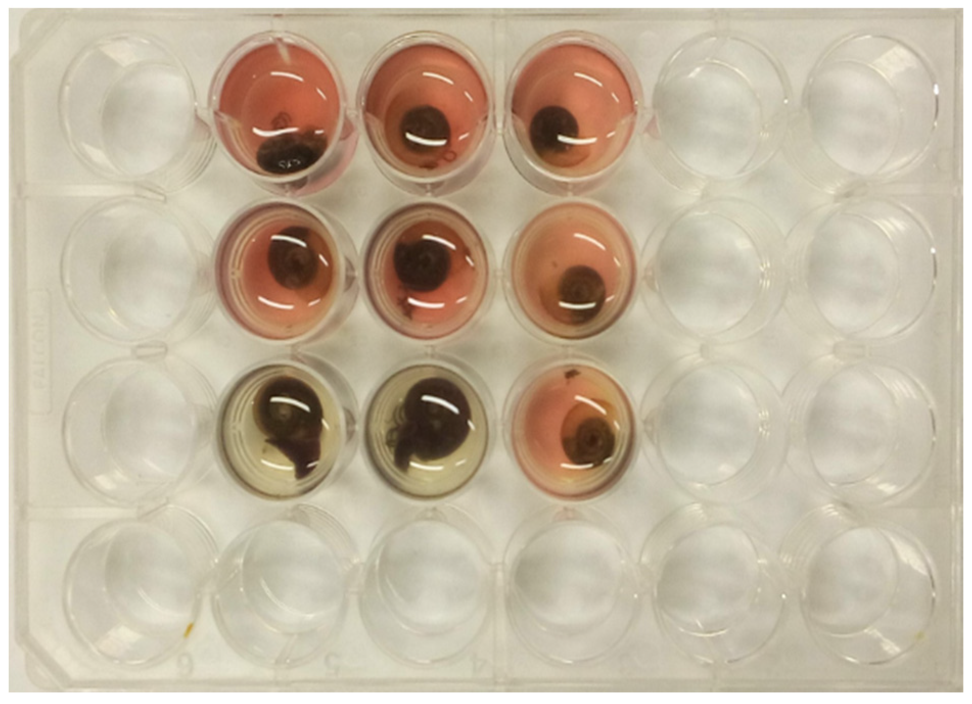 Separations 12 00208 g001