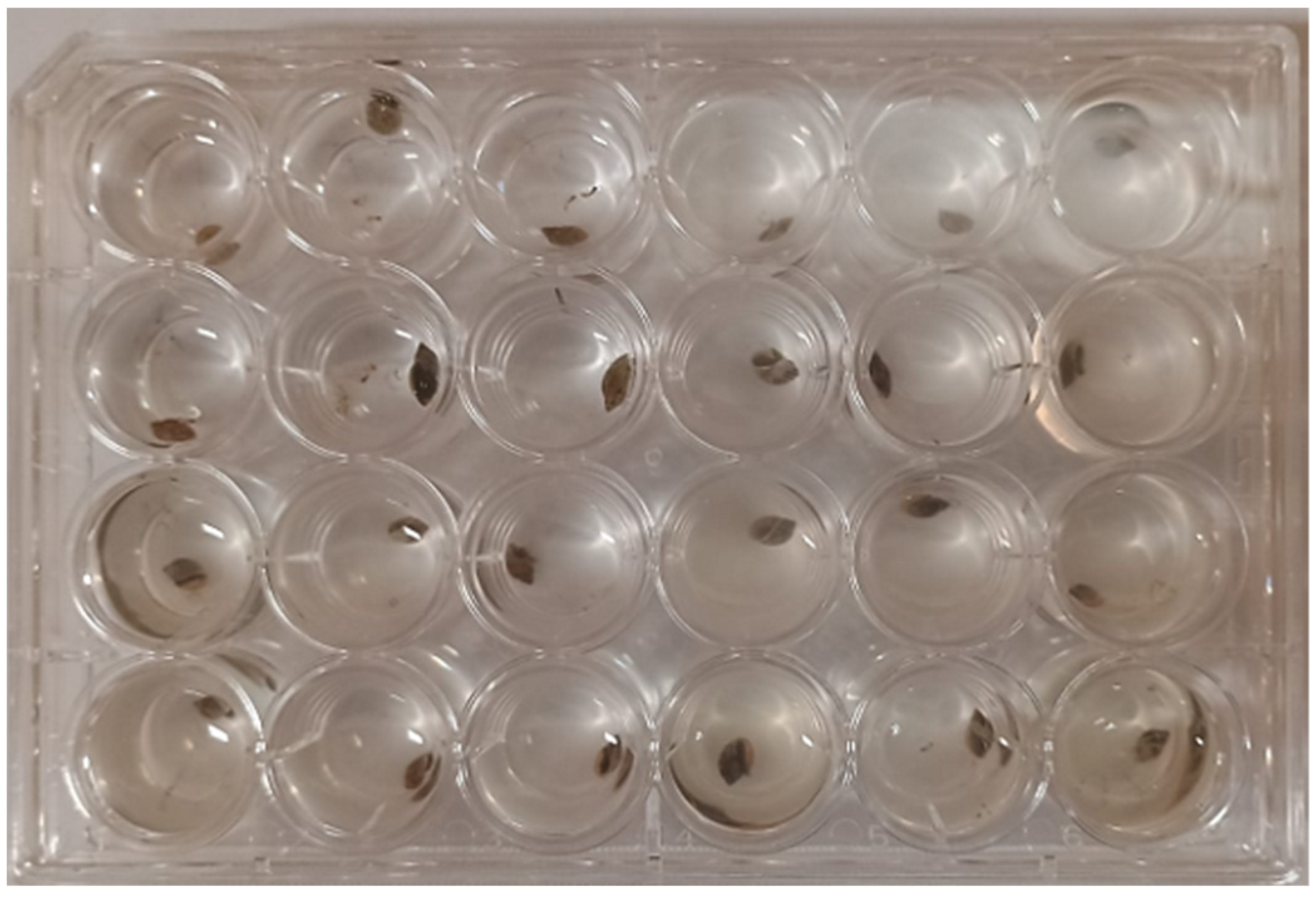 Separations 12 00208 g004