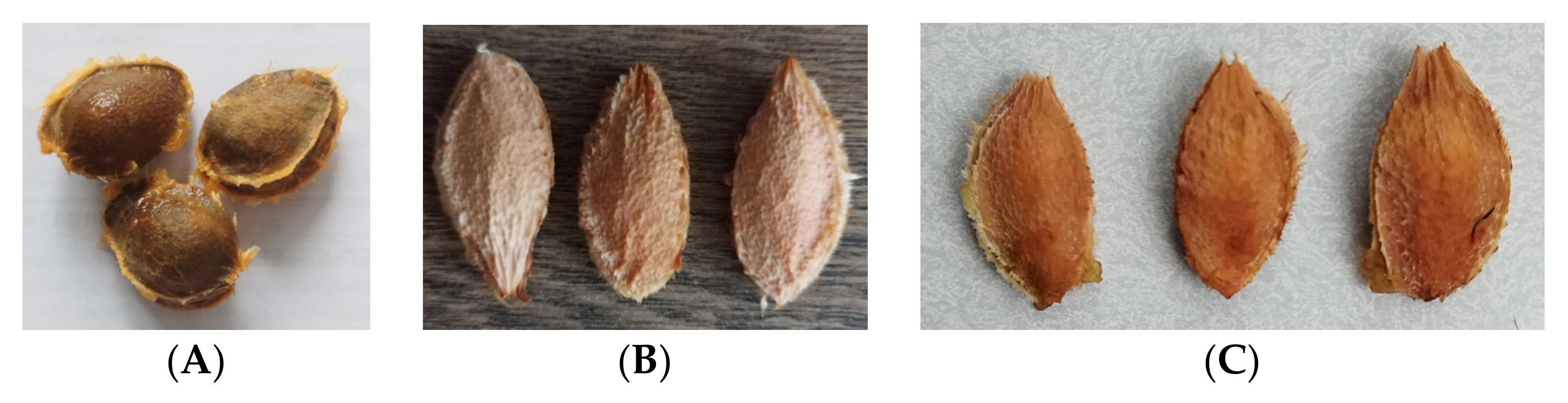 Separations 12 00216 g001