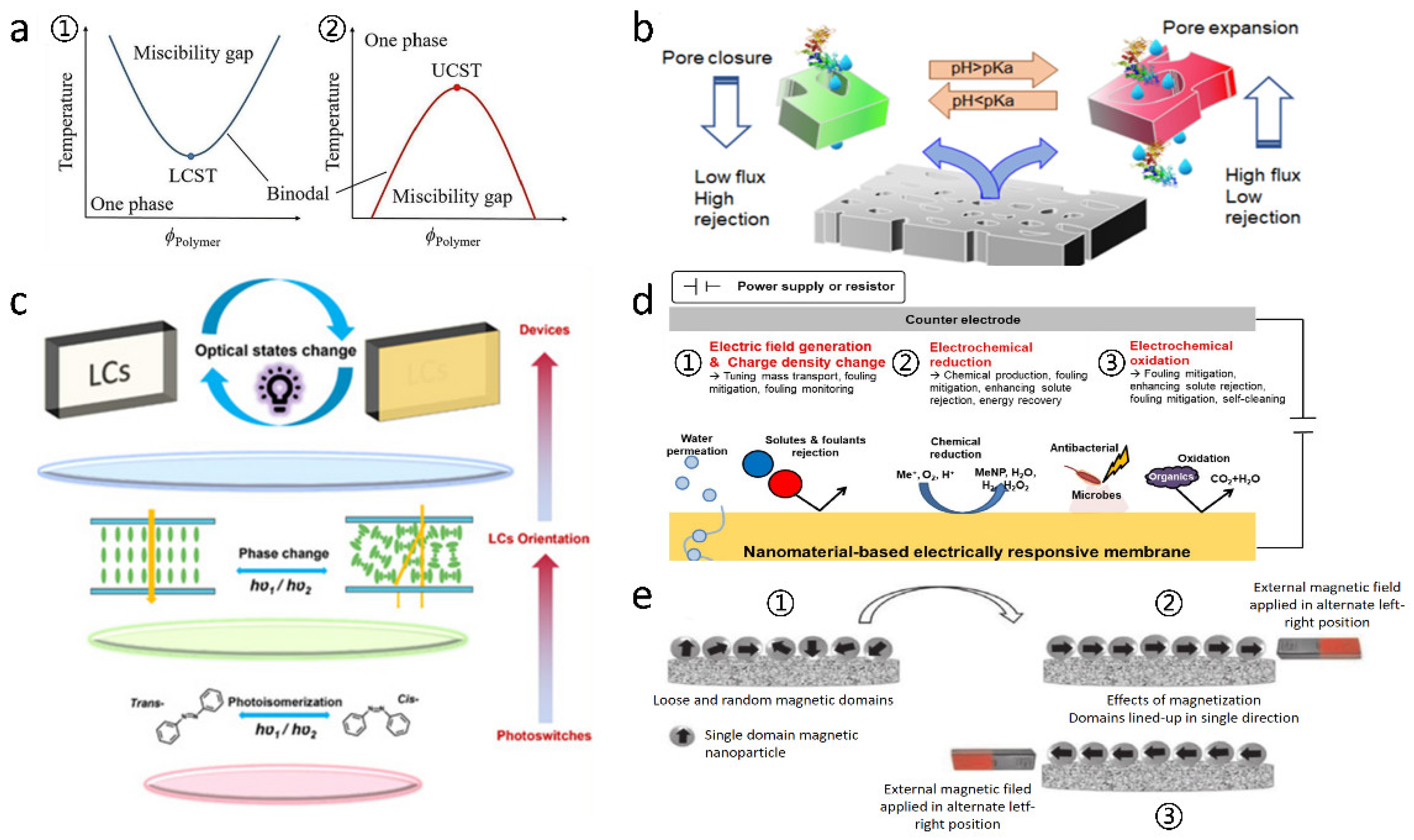 Separations 12 00219 g001