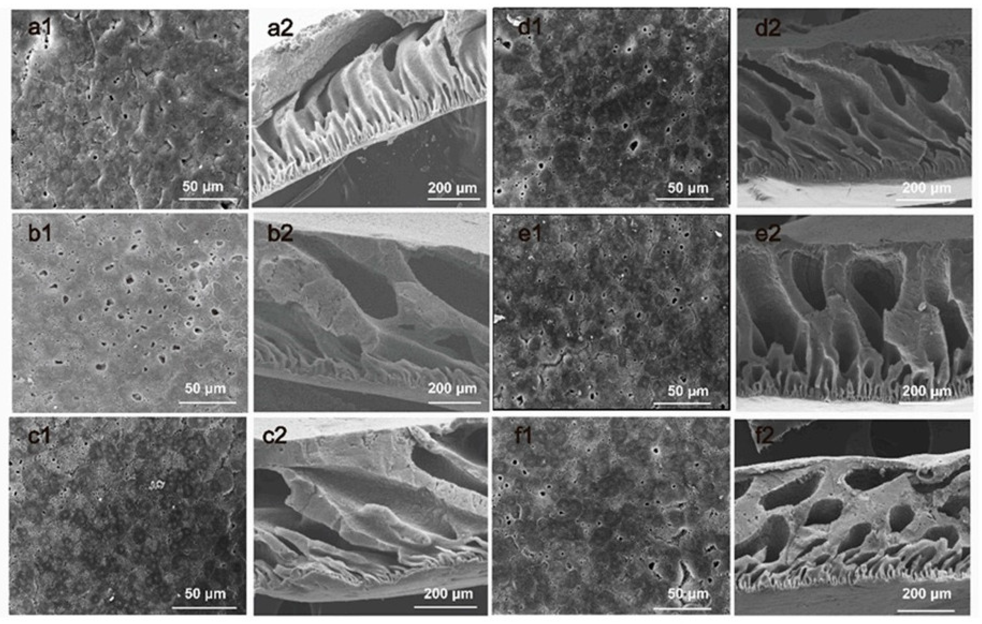 Separations 12 00219 g002