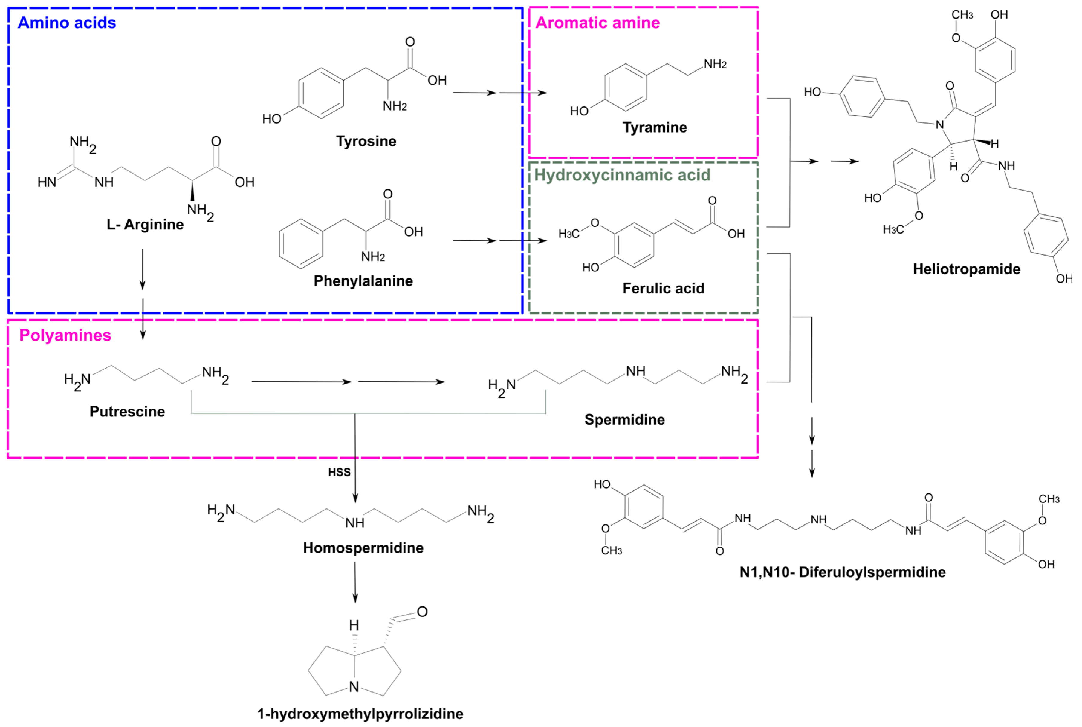 Separations 12 00225 g003