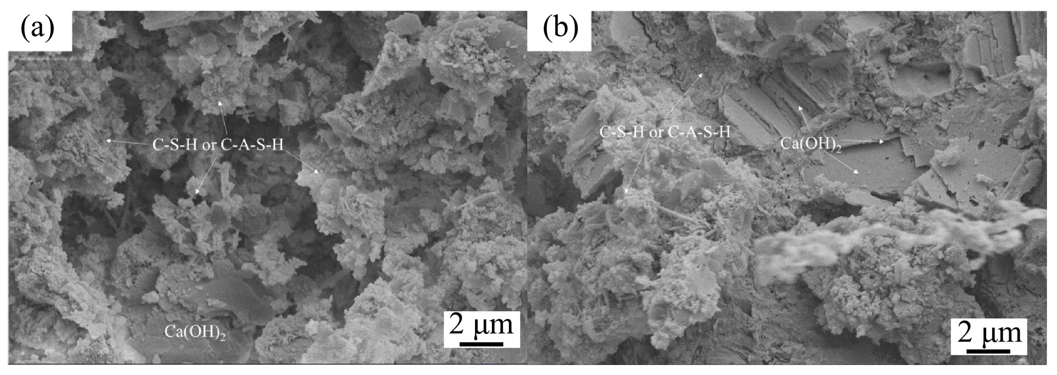 Separations 12 00230 g005