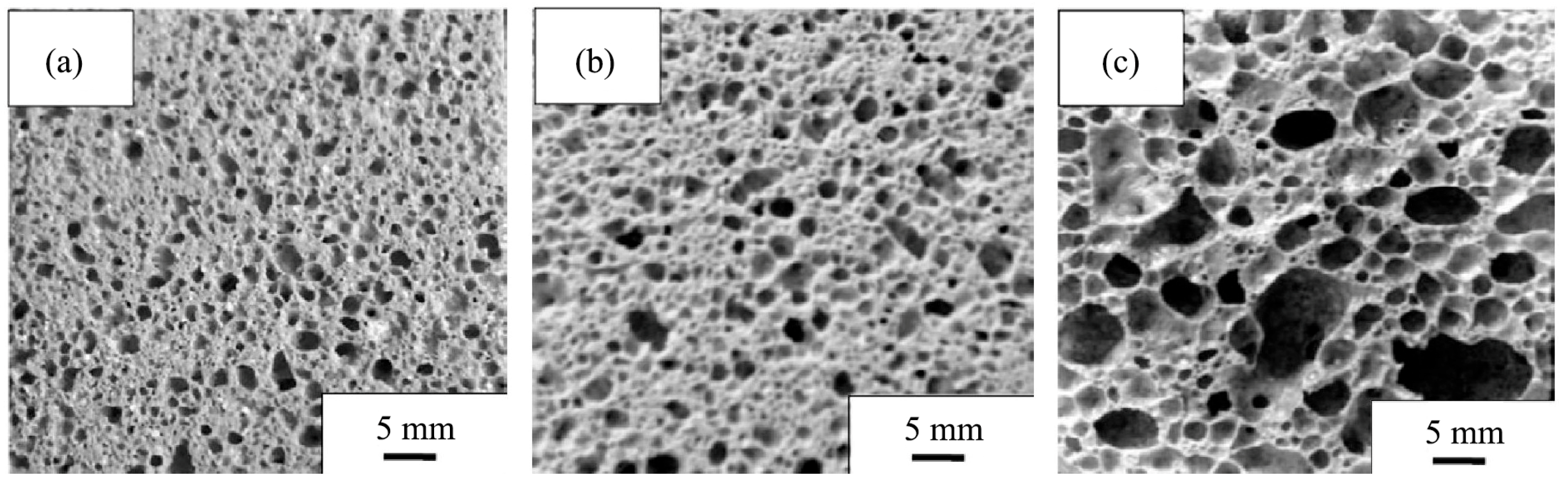 Separations 12 00230 g010