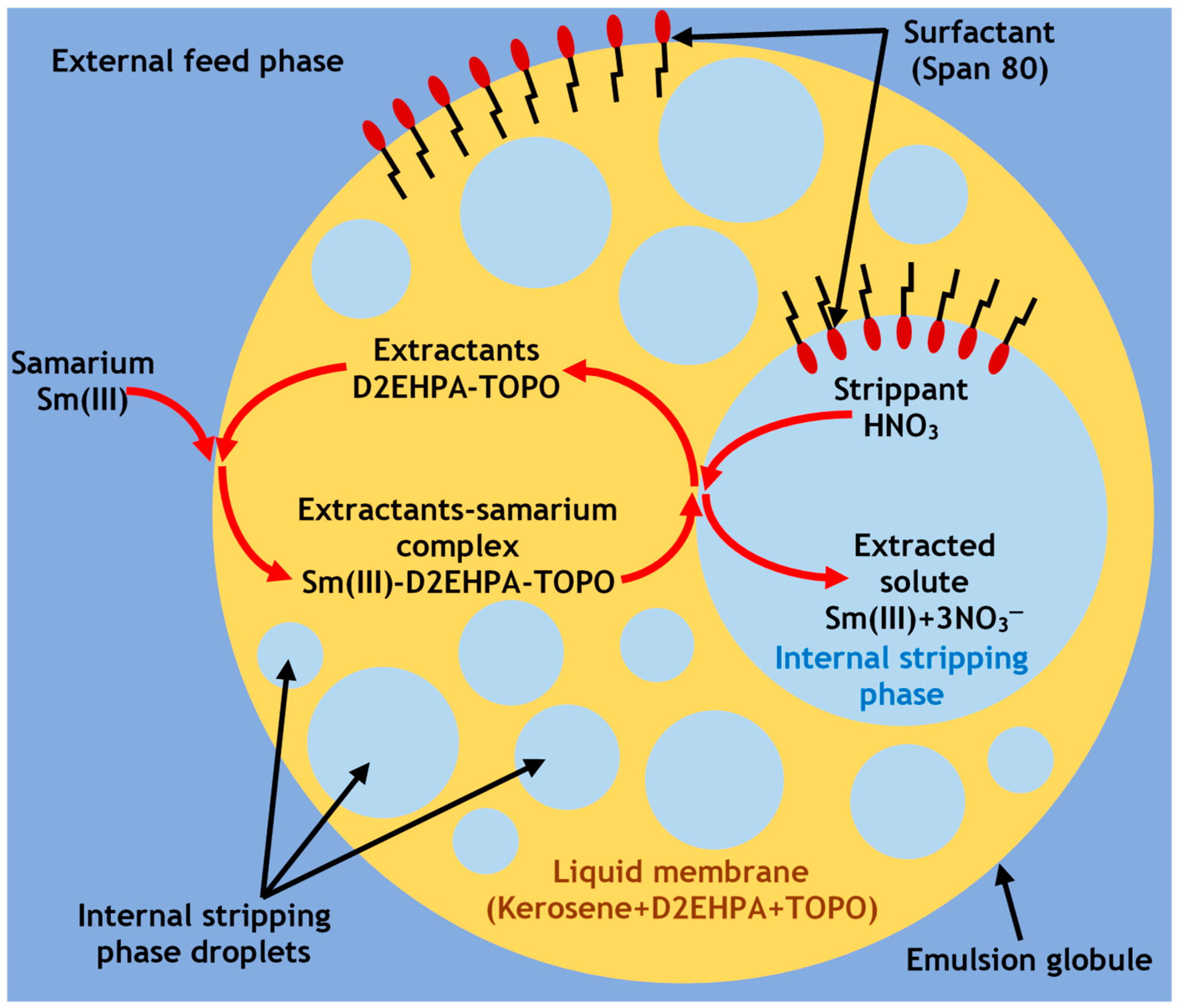 Separations 12 00233 g003 Separations 12 00233 g003