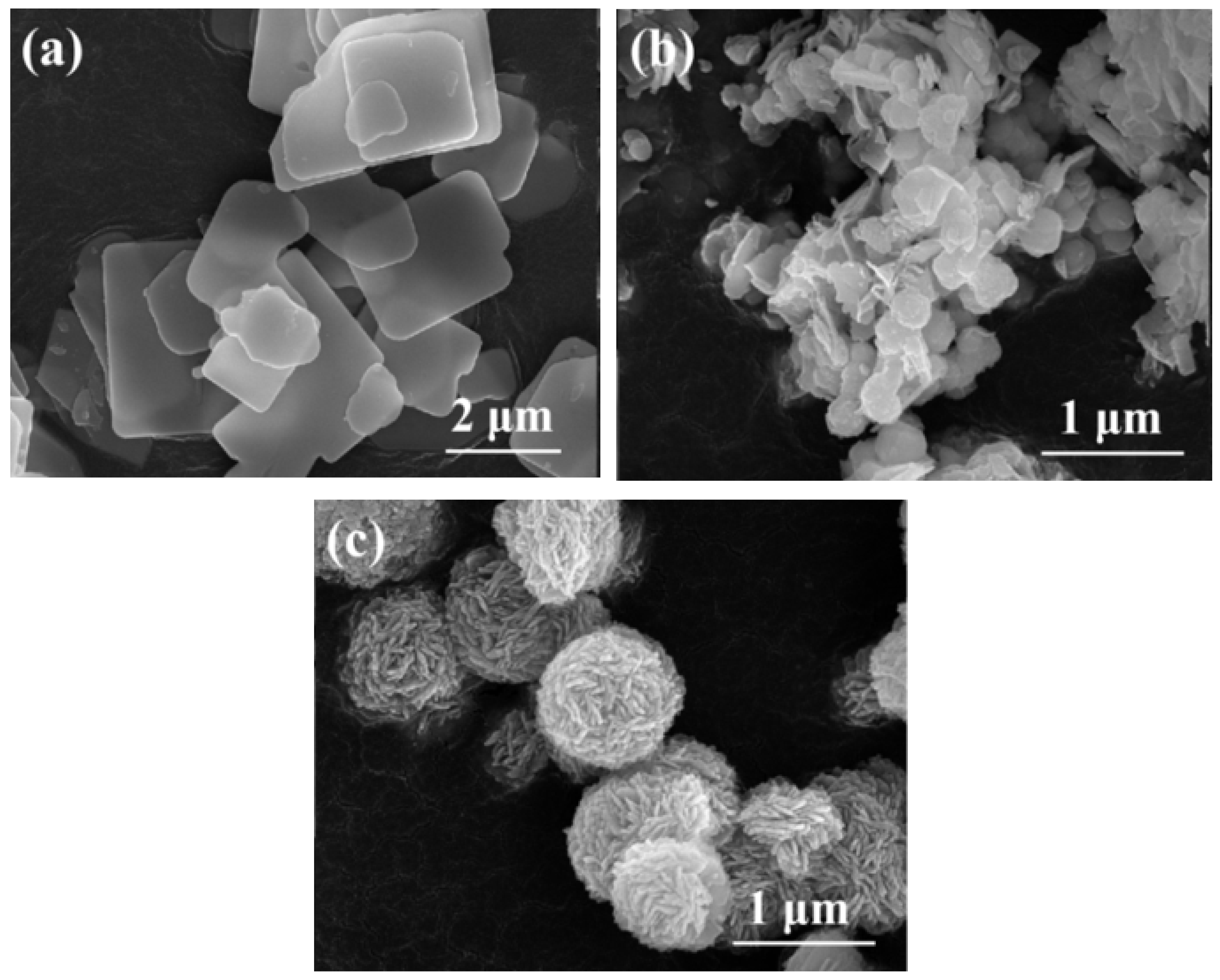 Separations 12 00242 g003