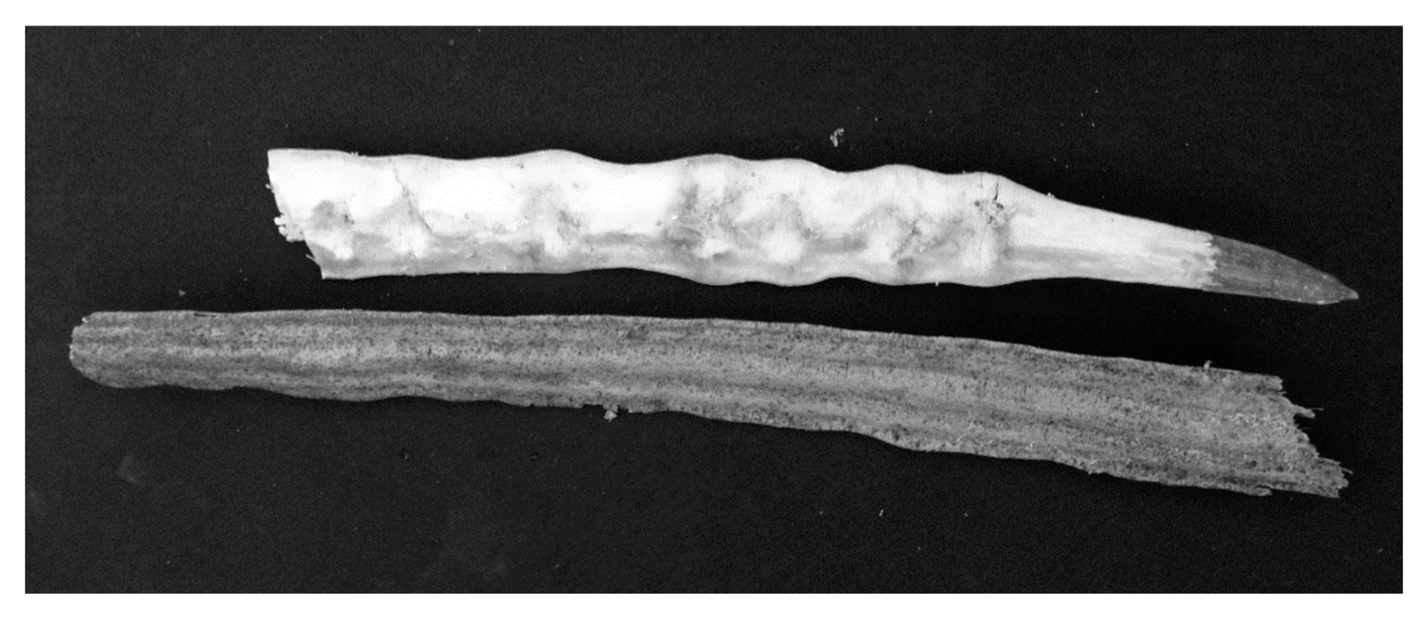 Separations 12 00246 g001