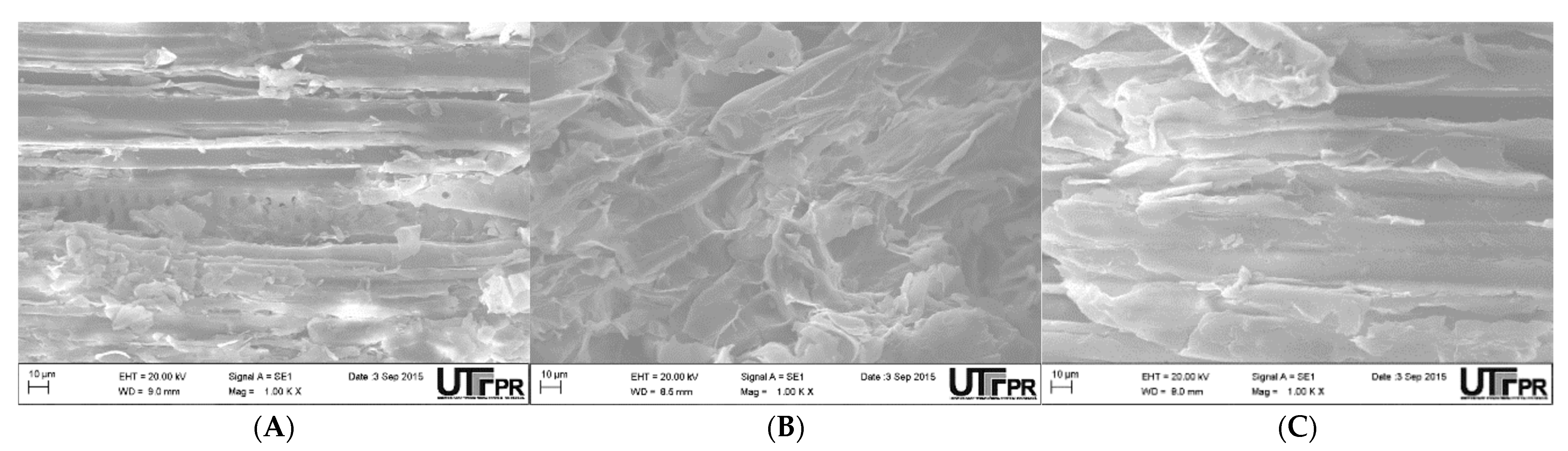 Separations 12 00246 g002