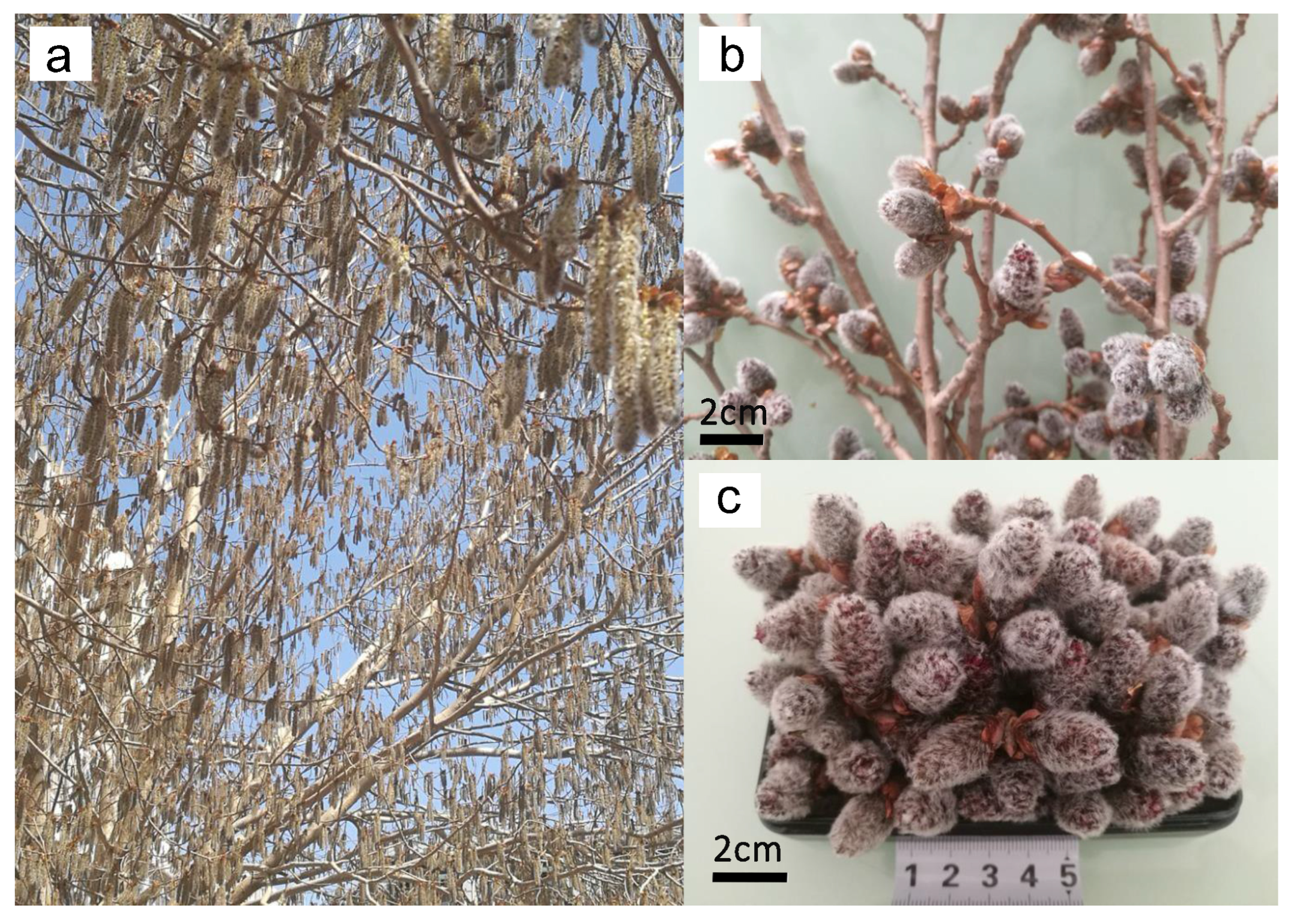 Separations 12 00249 g002