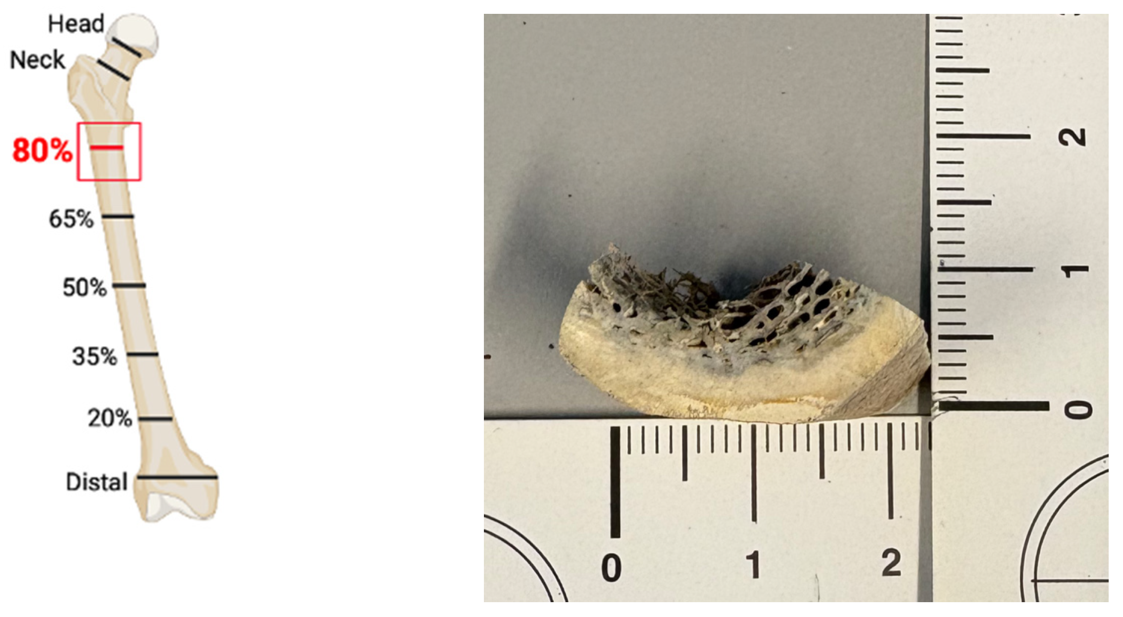 Separations 12 00263 g0a1