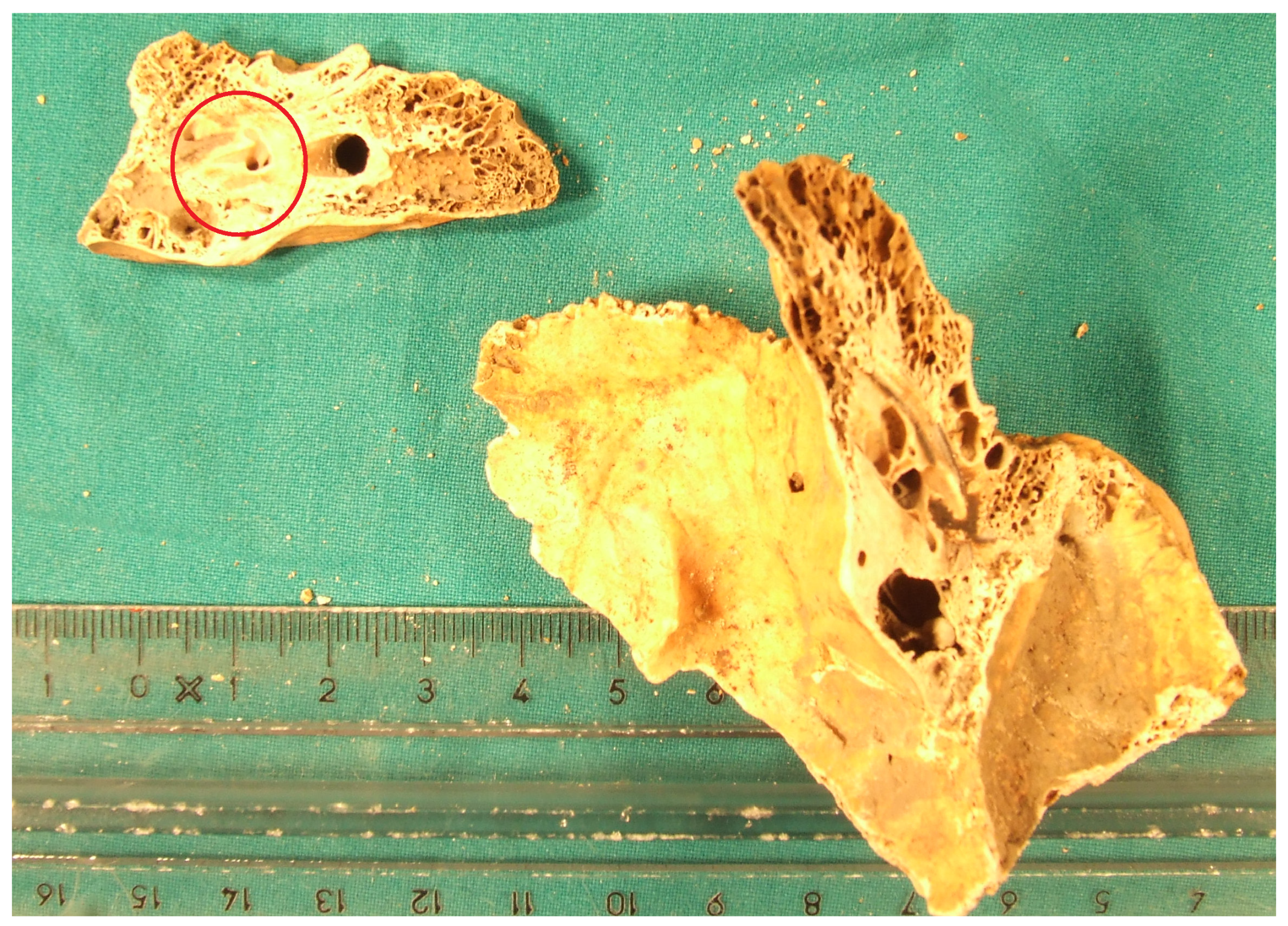 Separations 12 00263 g0a2