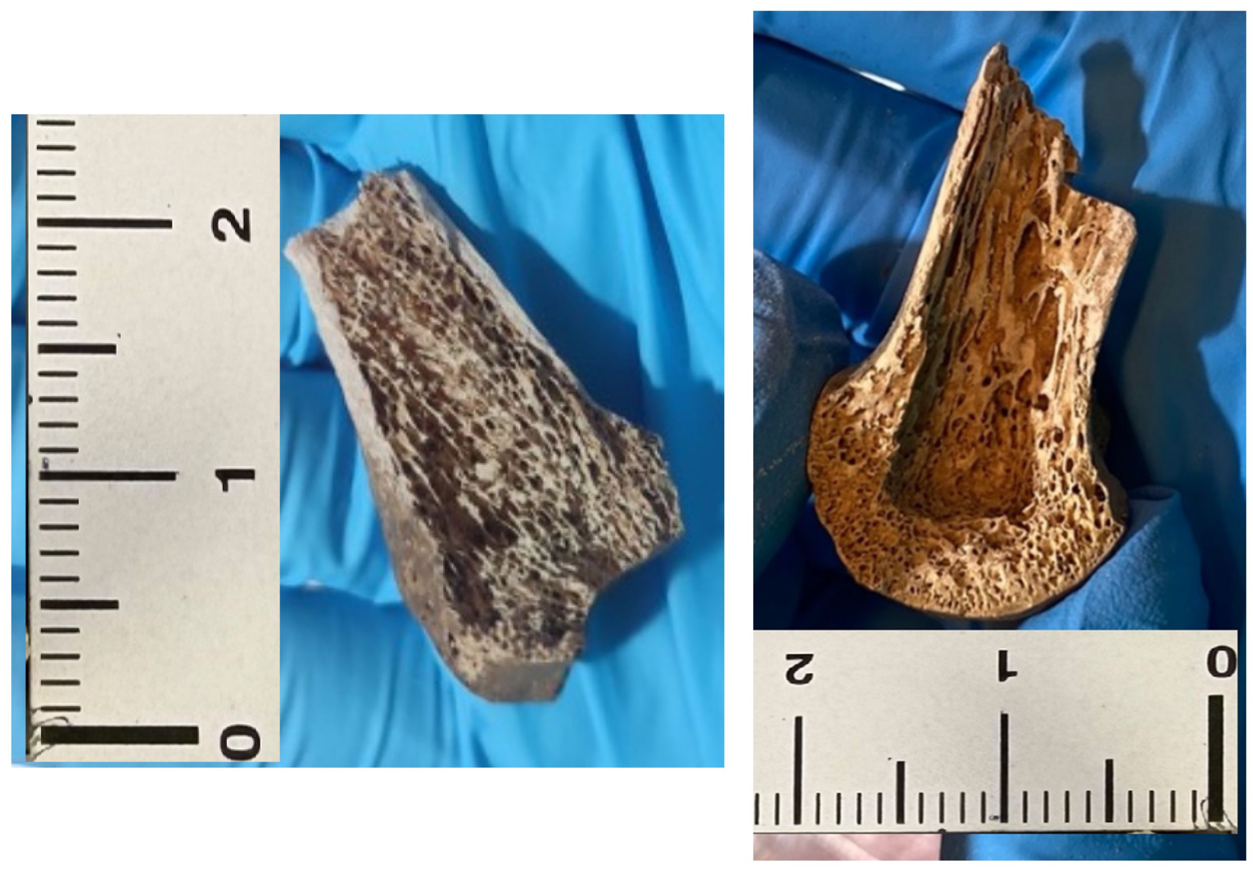 Separations 12 00263 g0a3