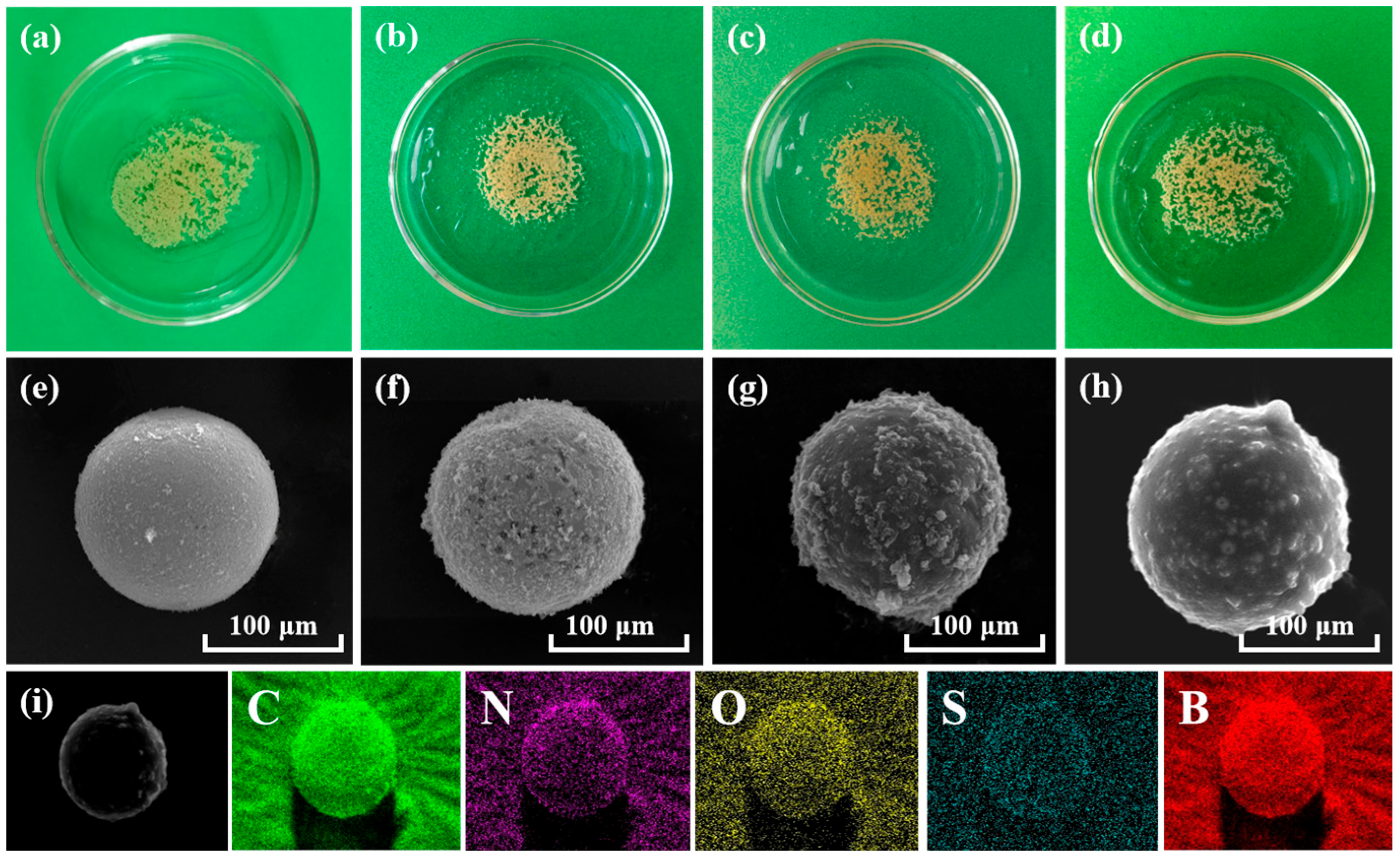 Separations 12 00267 g001 Separations 12 00267 g001