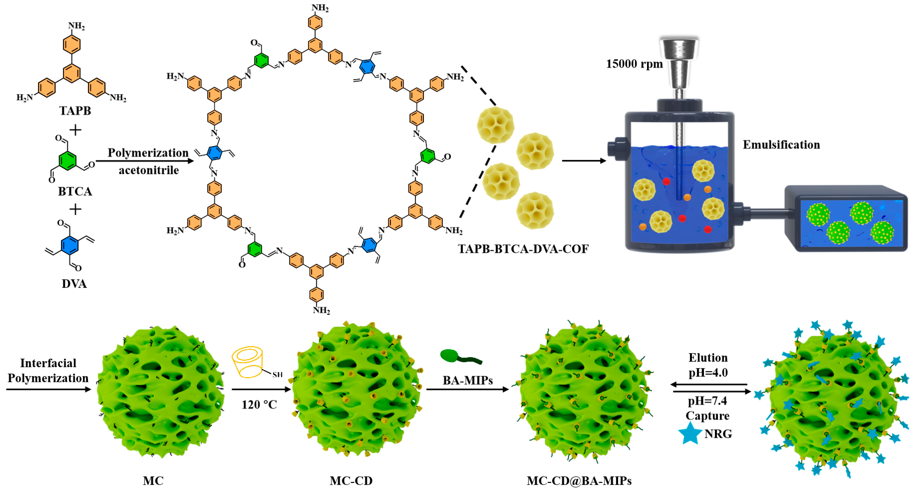Separations 12 00267 sch001 Separations 12 00267 sch001