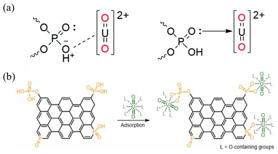 Separations 12 00283 g006