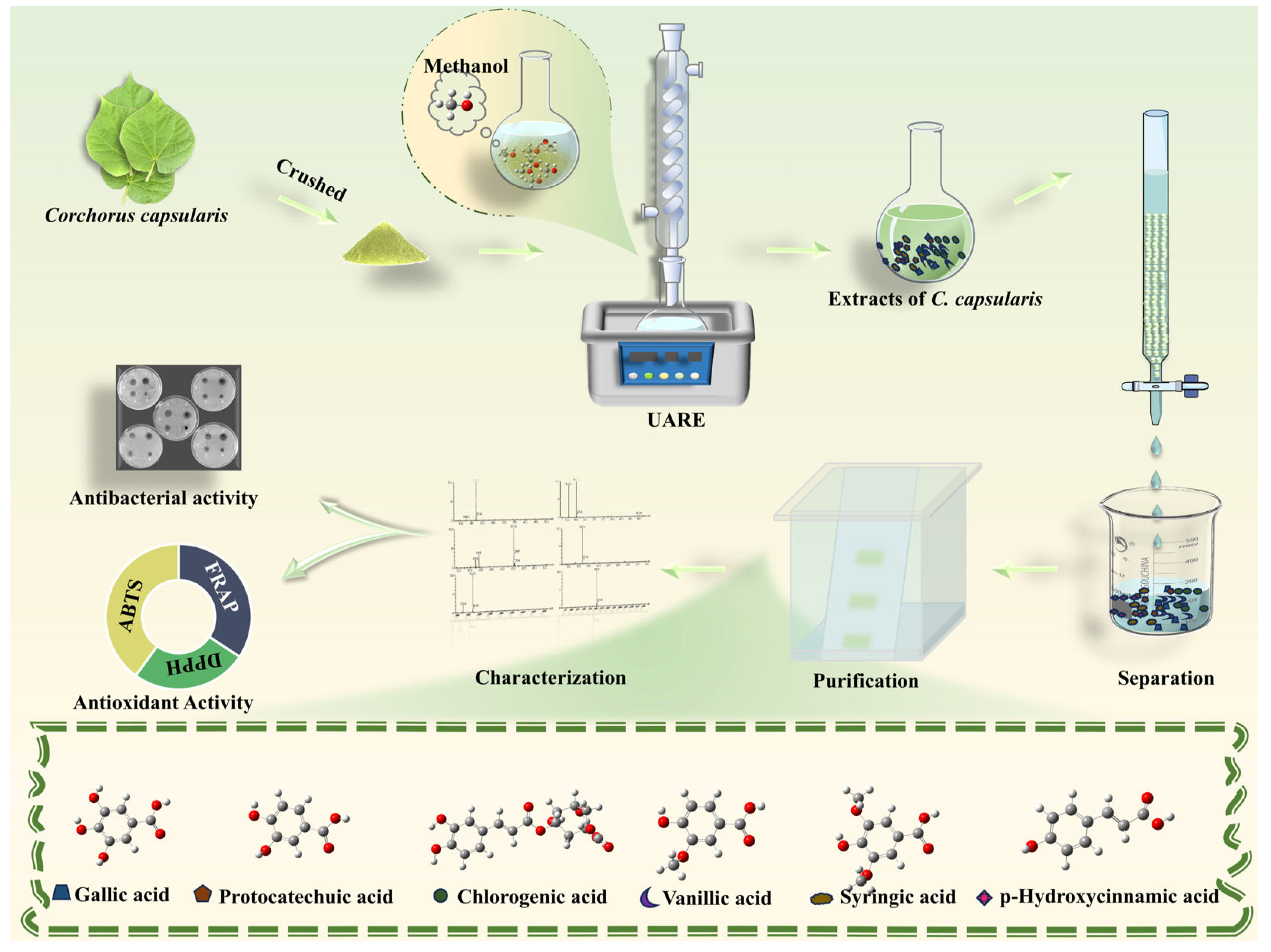 Separations 12 00288 g001