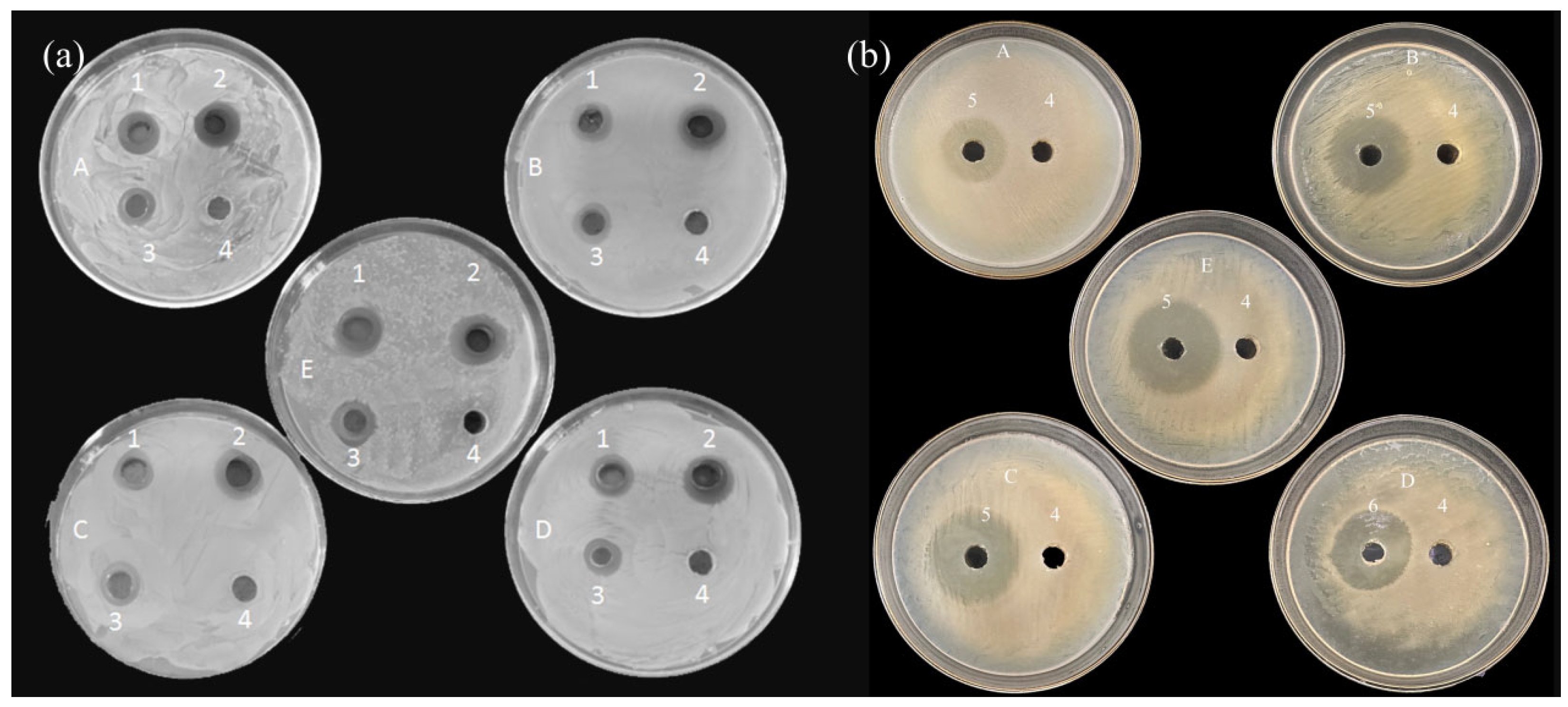 Separations 12 00288 g009